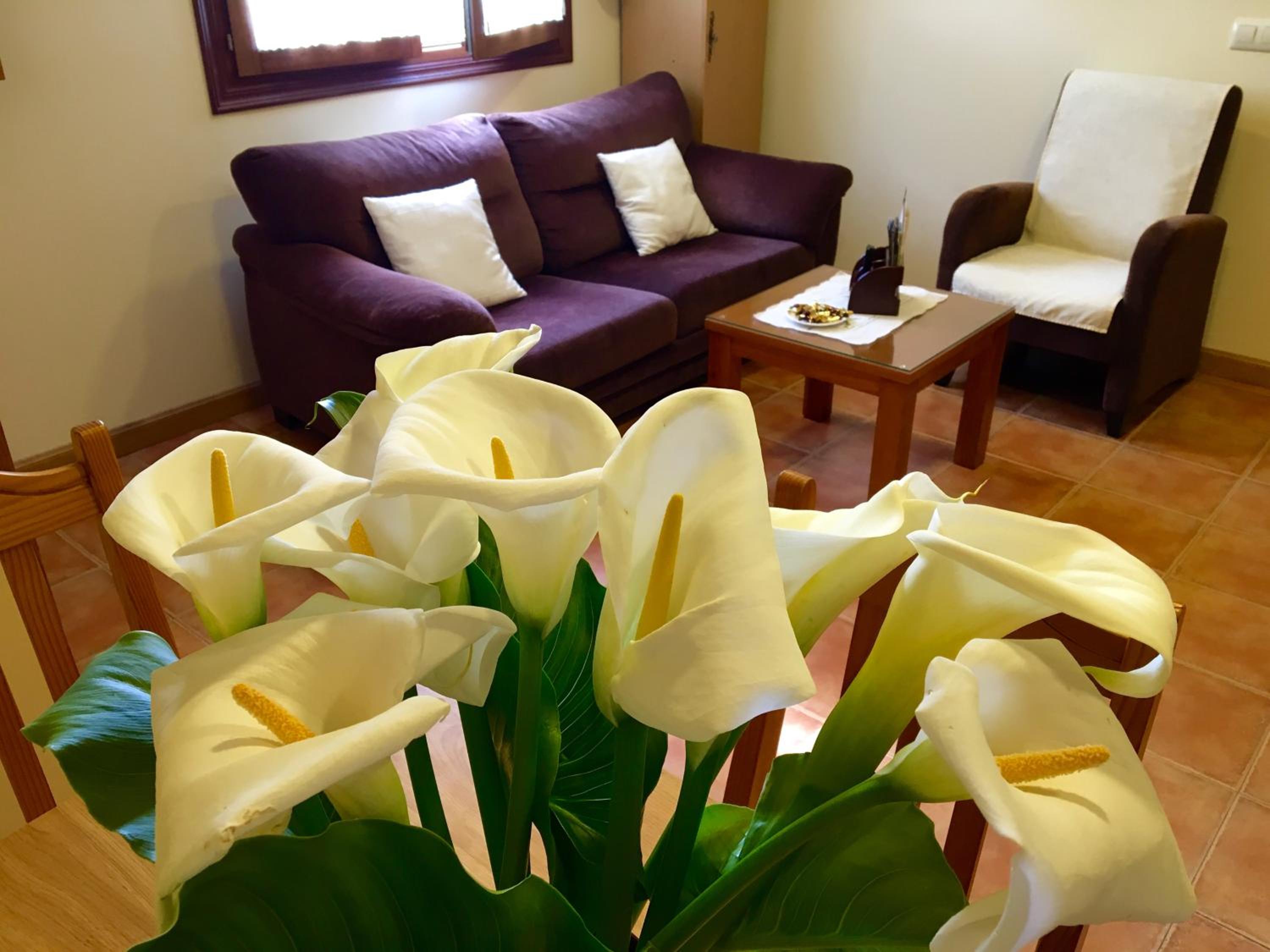 Apartamento con vista al jardín
