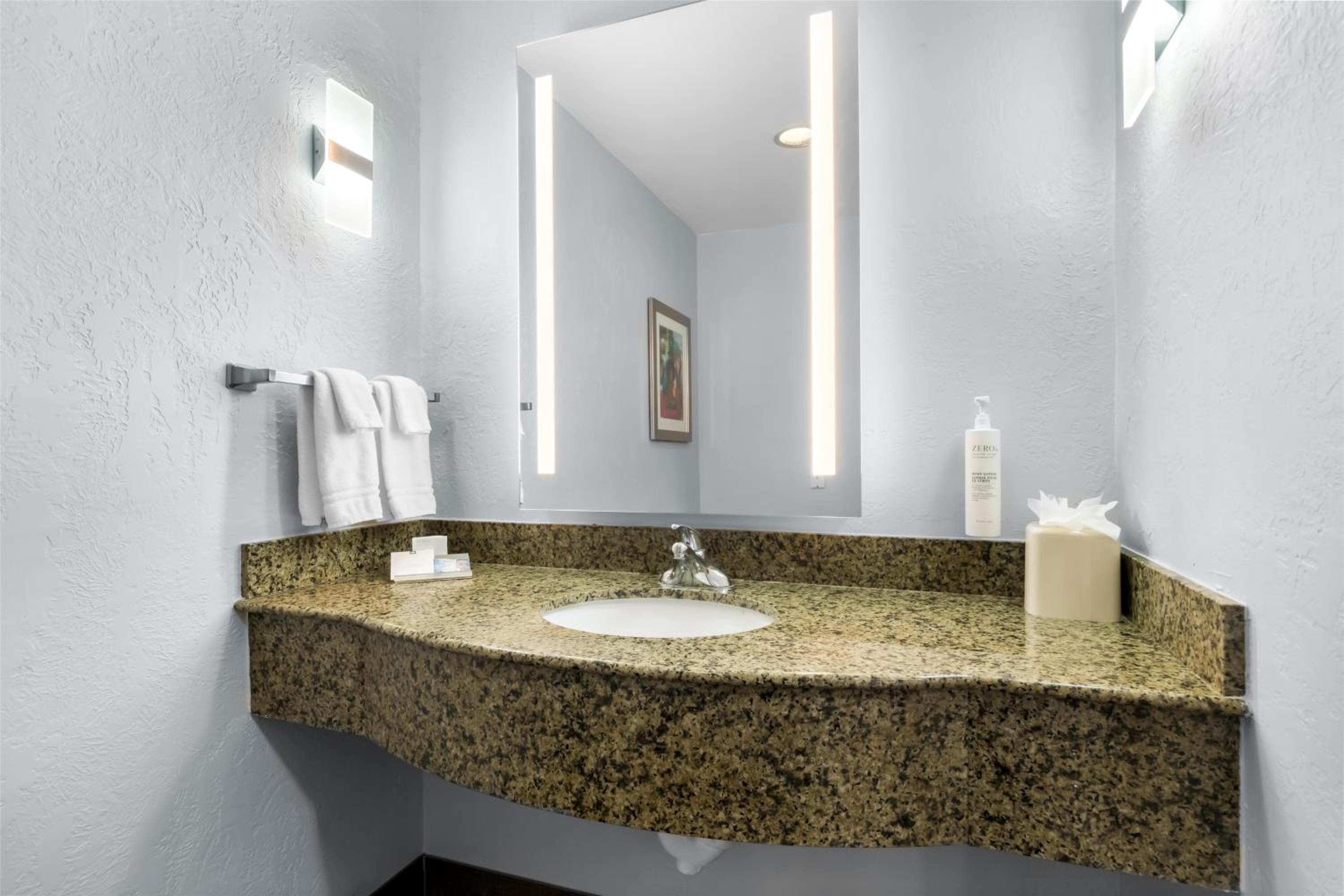 One-Bedroom Queen Suite - Hearing Accessible - Photo 2