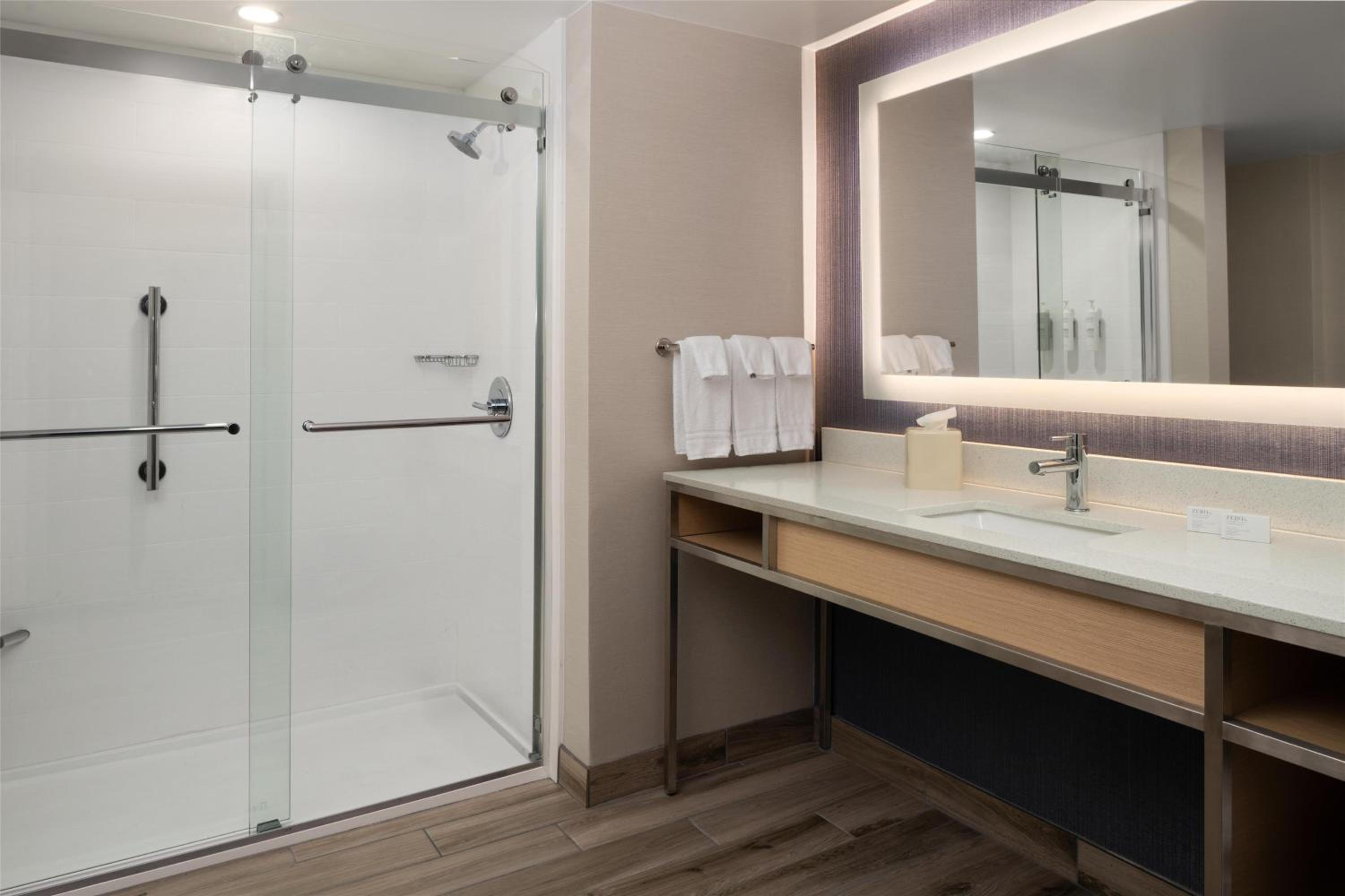 King Room Disability Access Tub