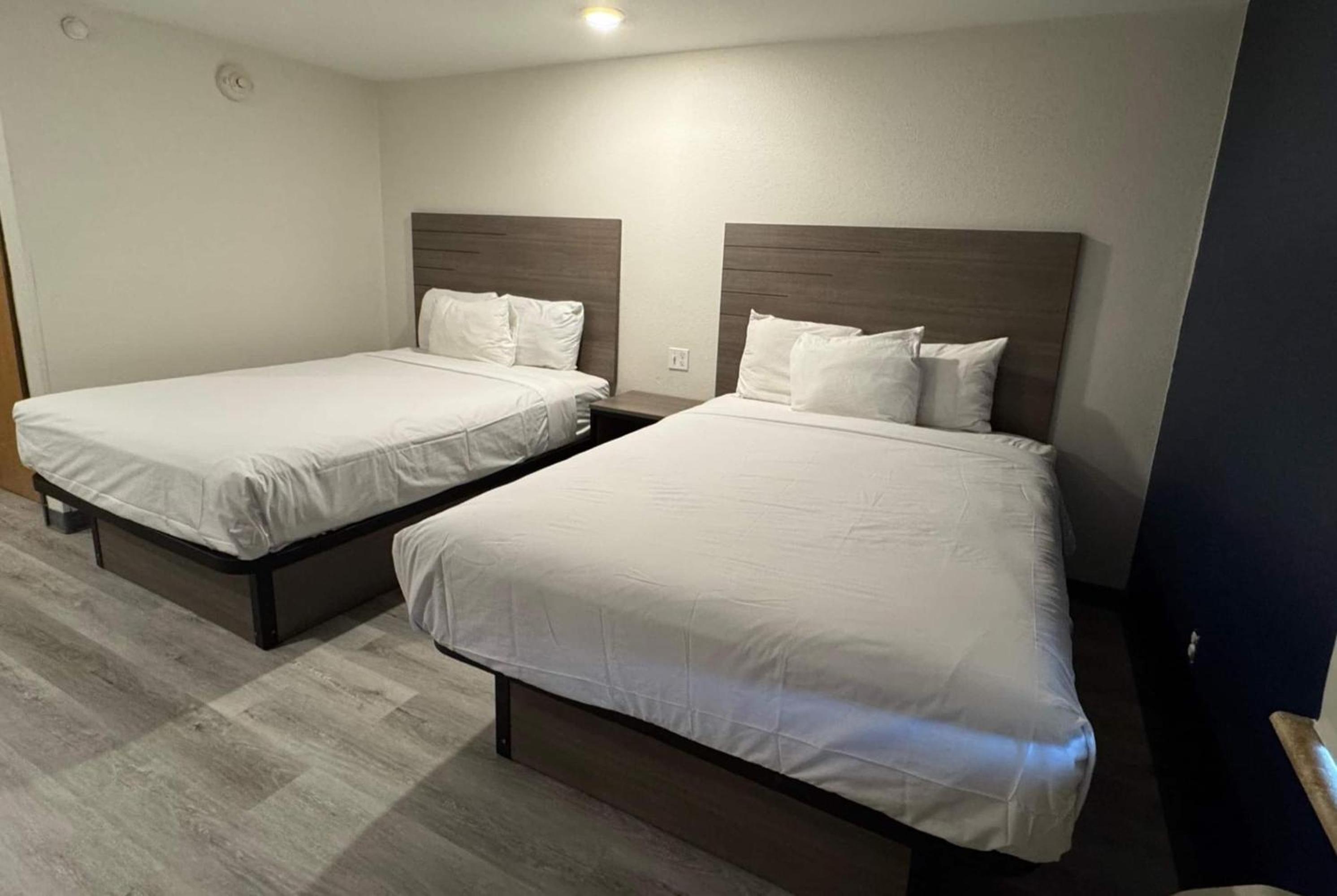 Studio with Two Queen Beds - Non-Smoking photo 1