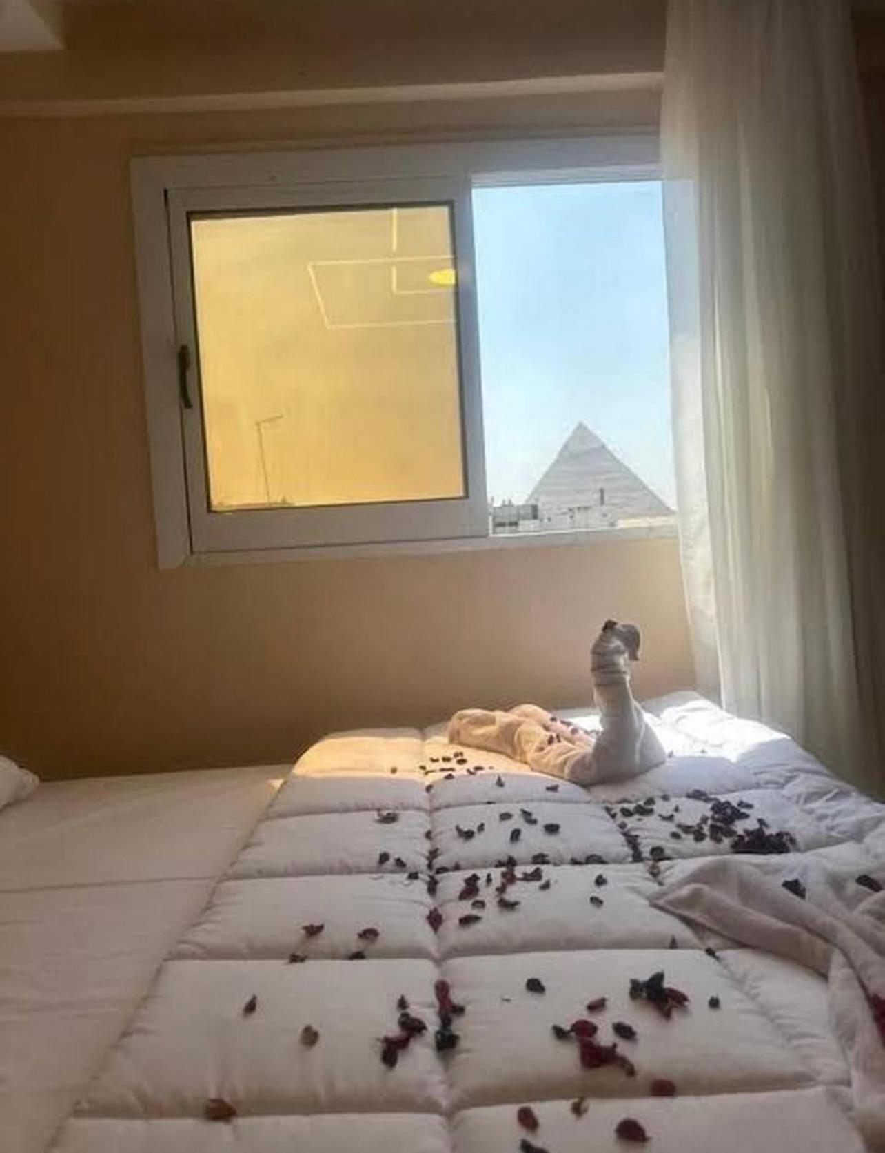 Junior Suite with Terrace