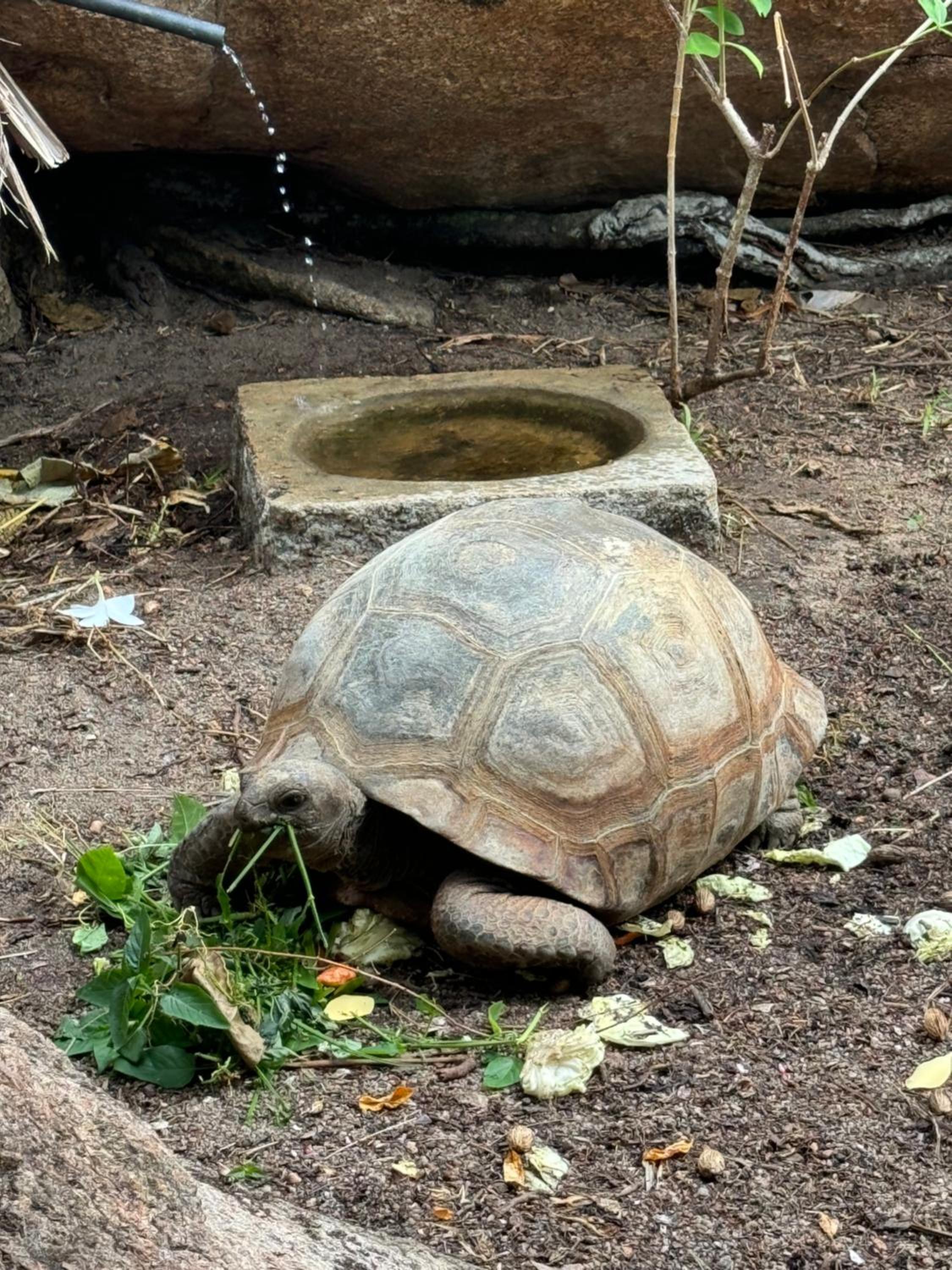 Family Room with Garden View