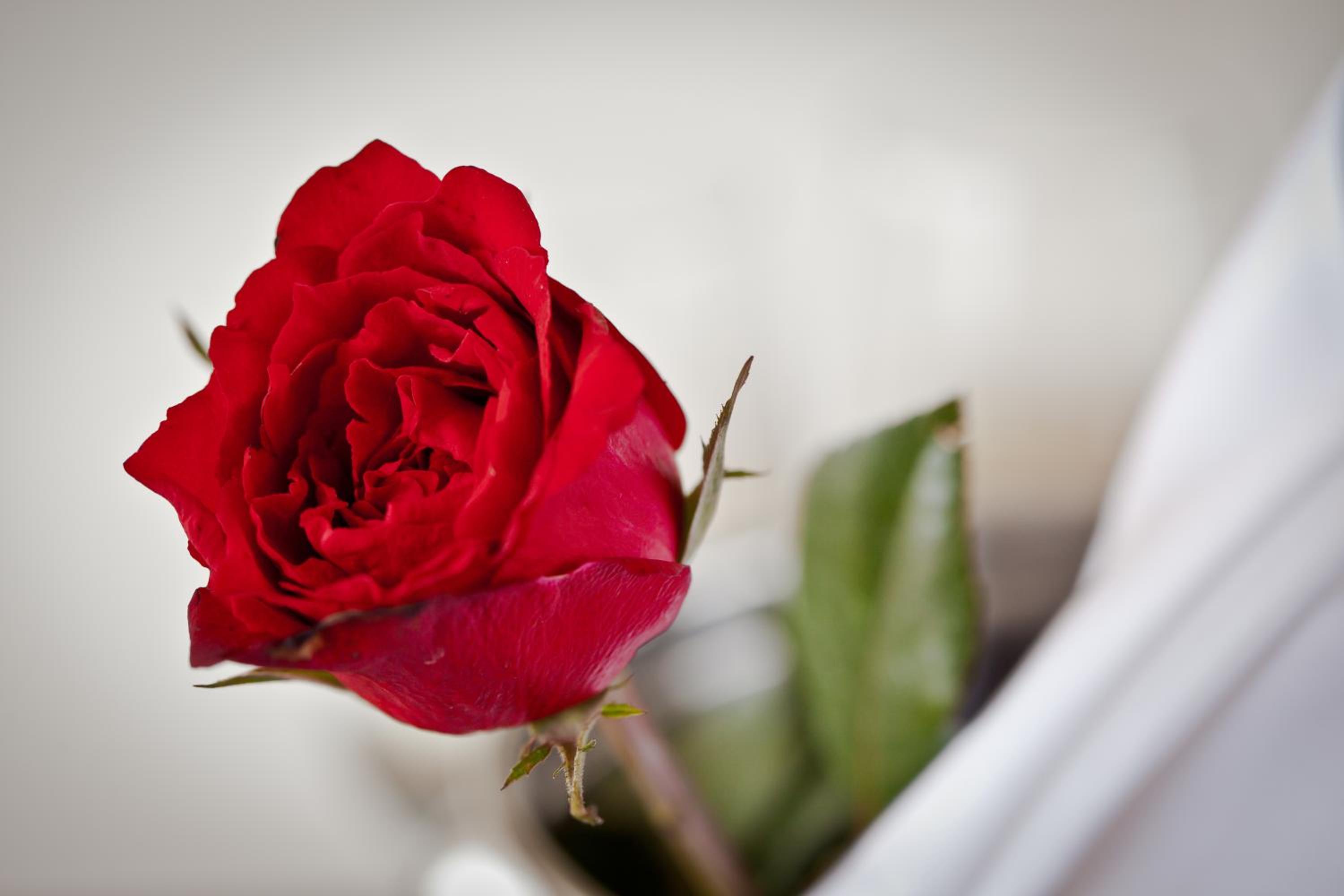 Honeymoon Package at Suite Room - Photo 3