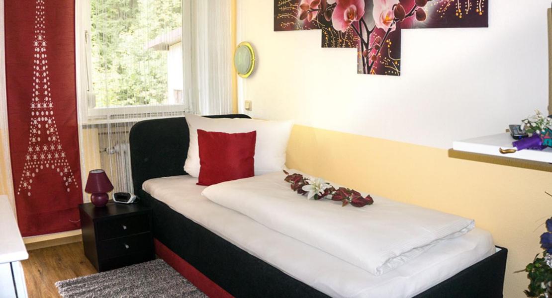 Budget Single Room photo 1