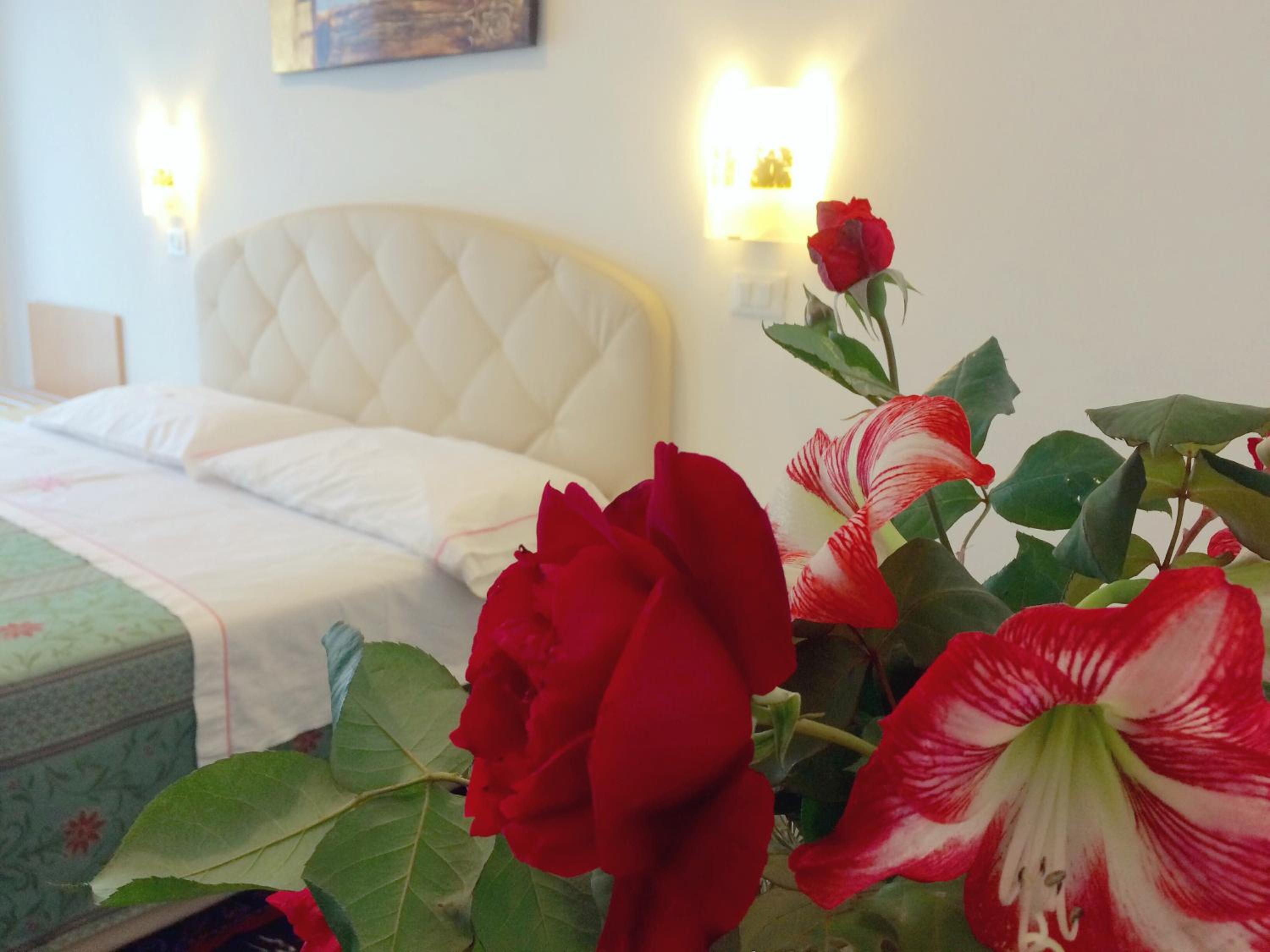 Double or Twin Room photo 3
