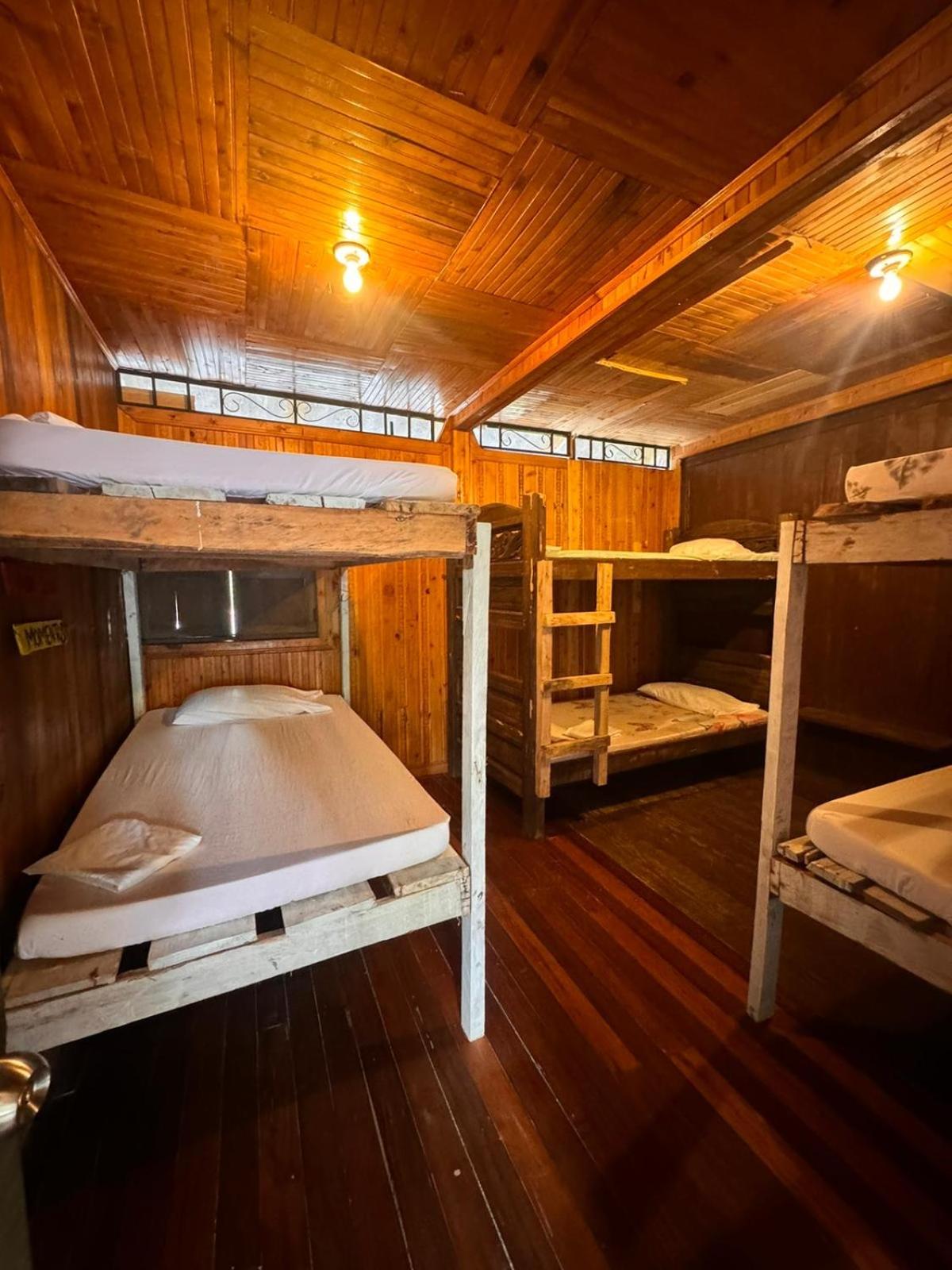 Single Bed in Mixed Dormitory Room photo 2
