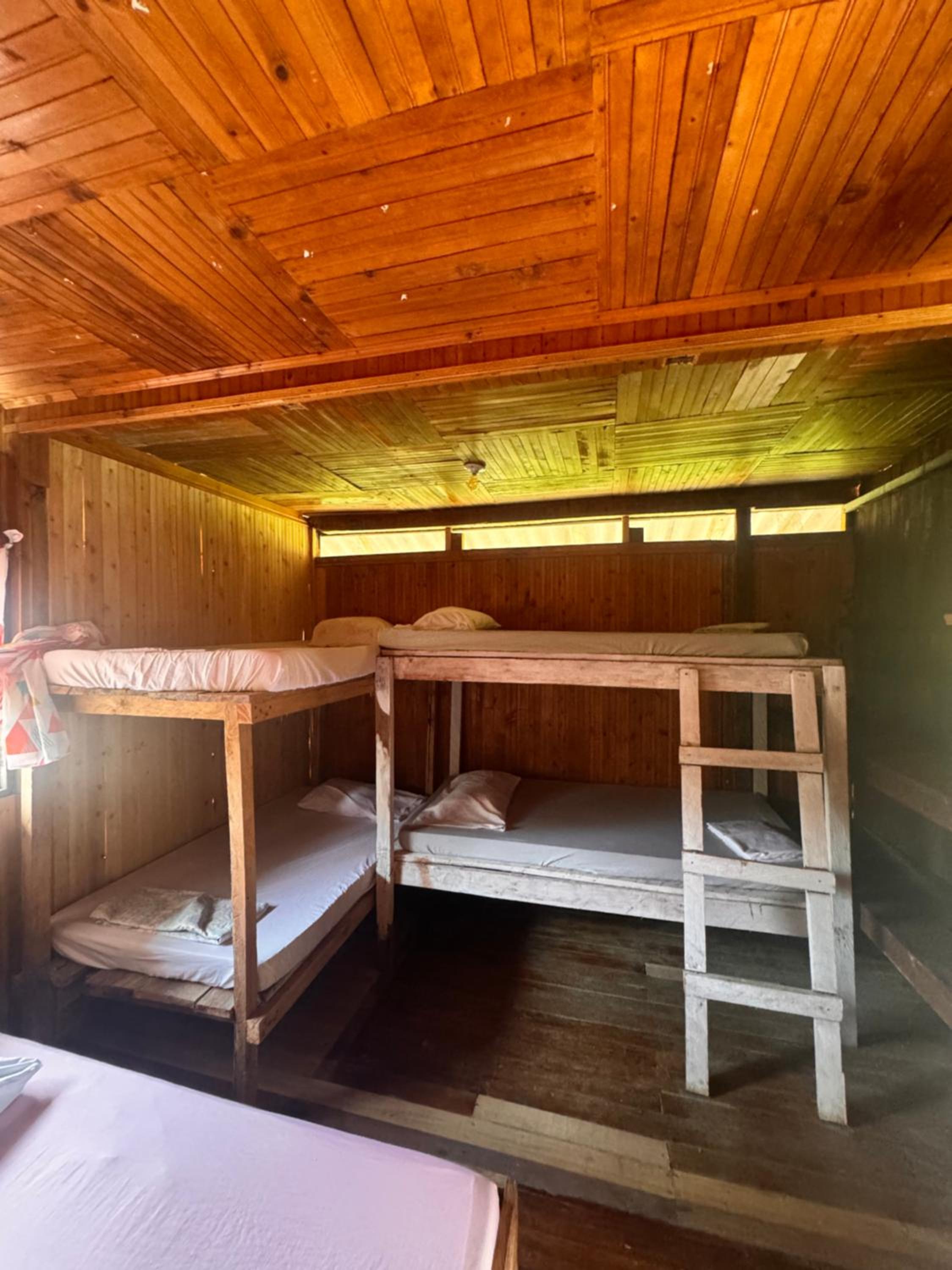 Single Bed in Mixed Dormitory Room photo 1