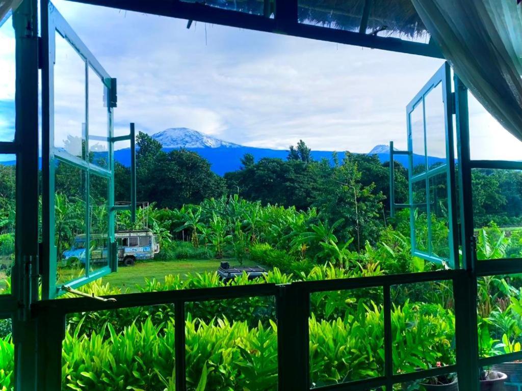 King Room with Mountain View photo 1