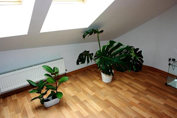 Budget Double Room - Photo 4