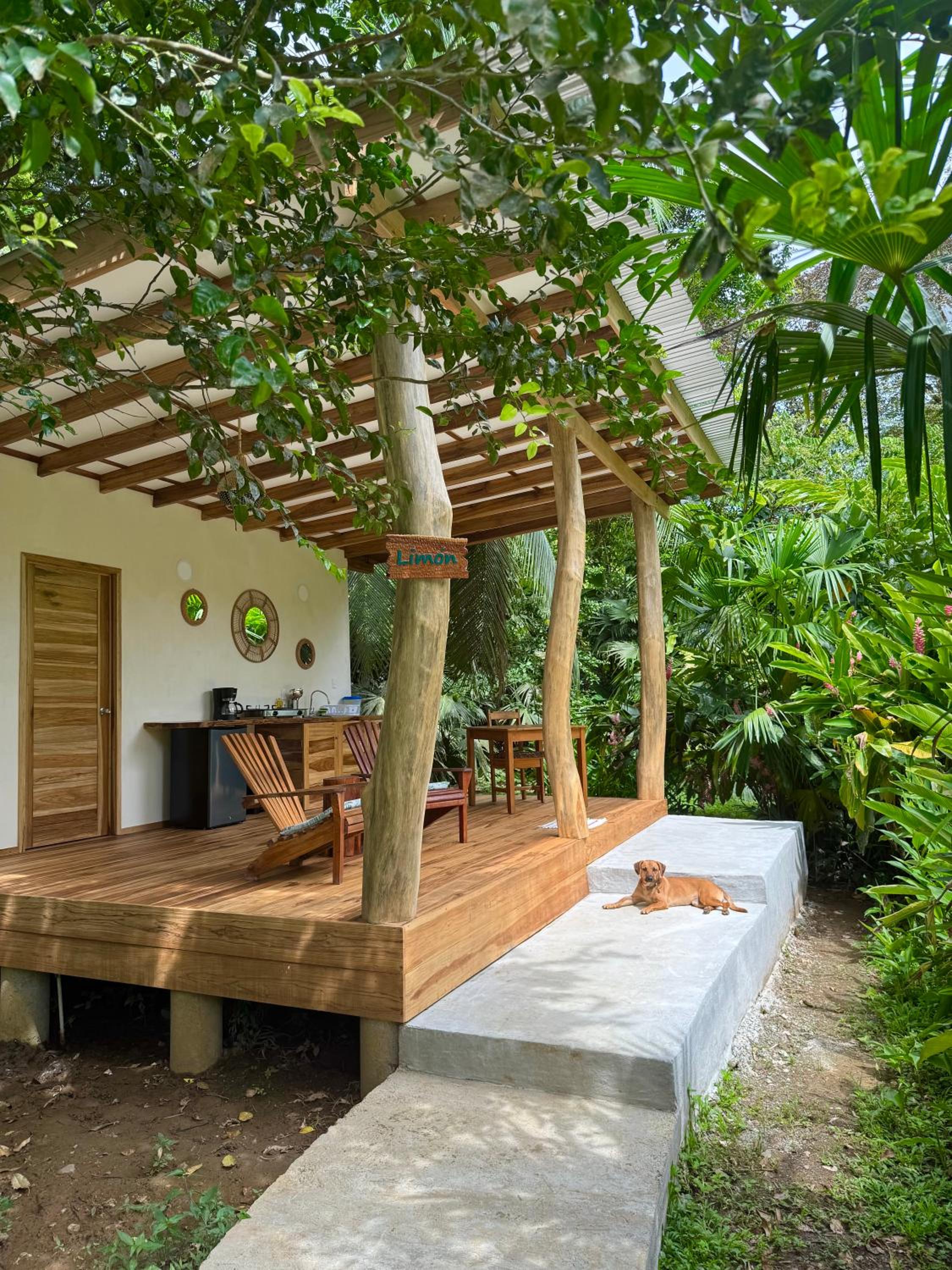 One-Bedroom Bungalow photo 1