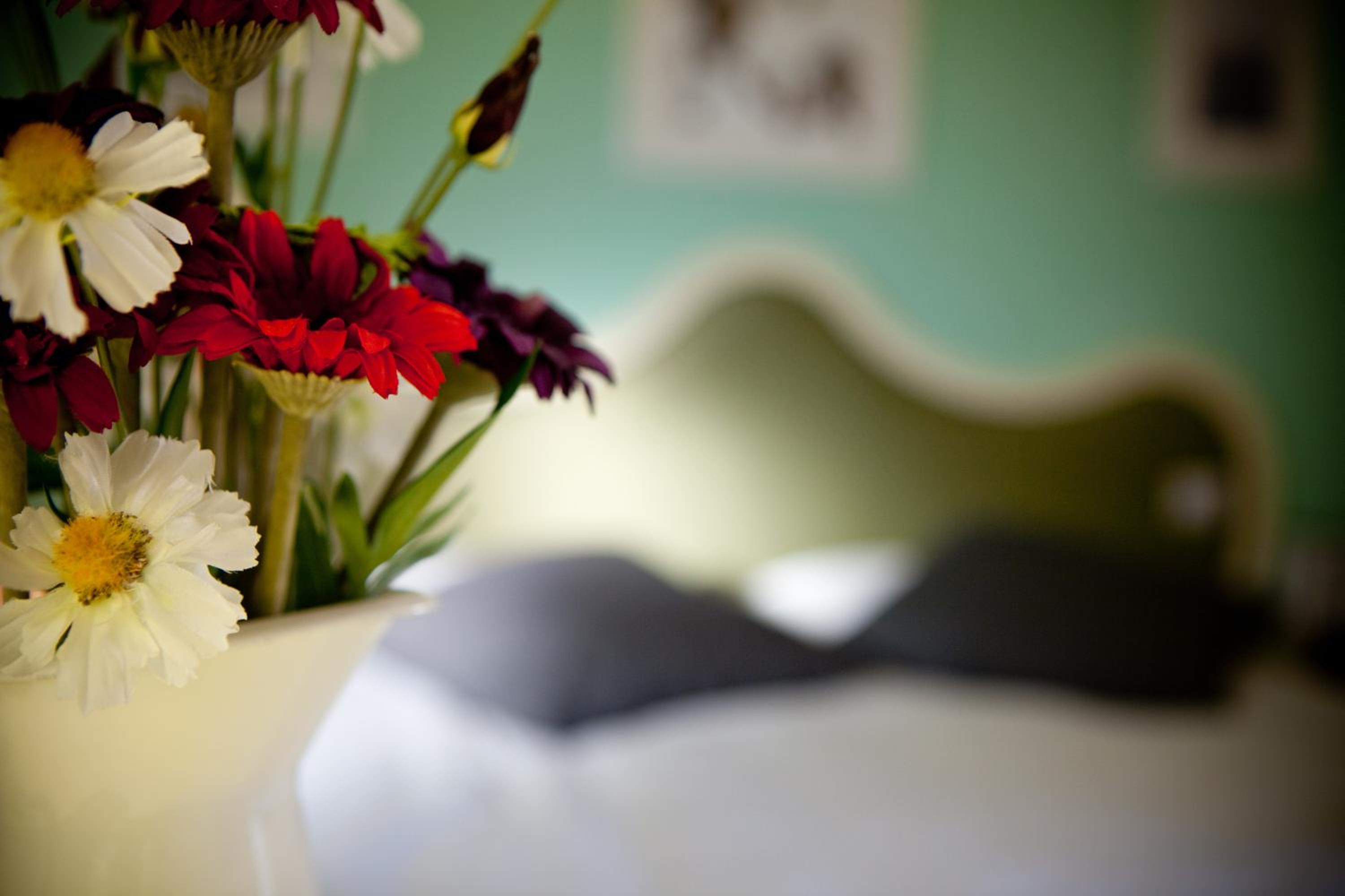 Quadruple Room - Photo 5