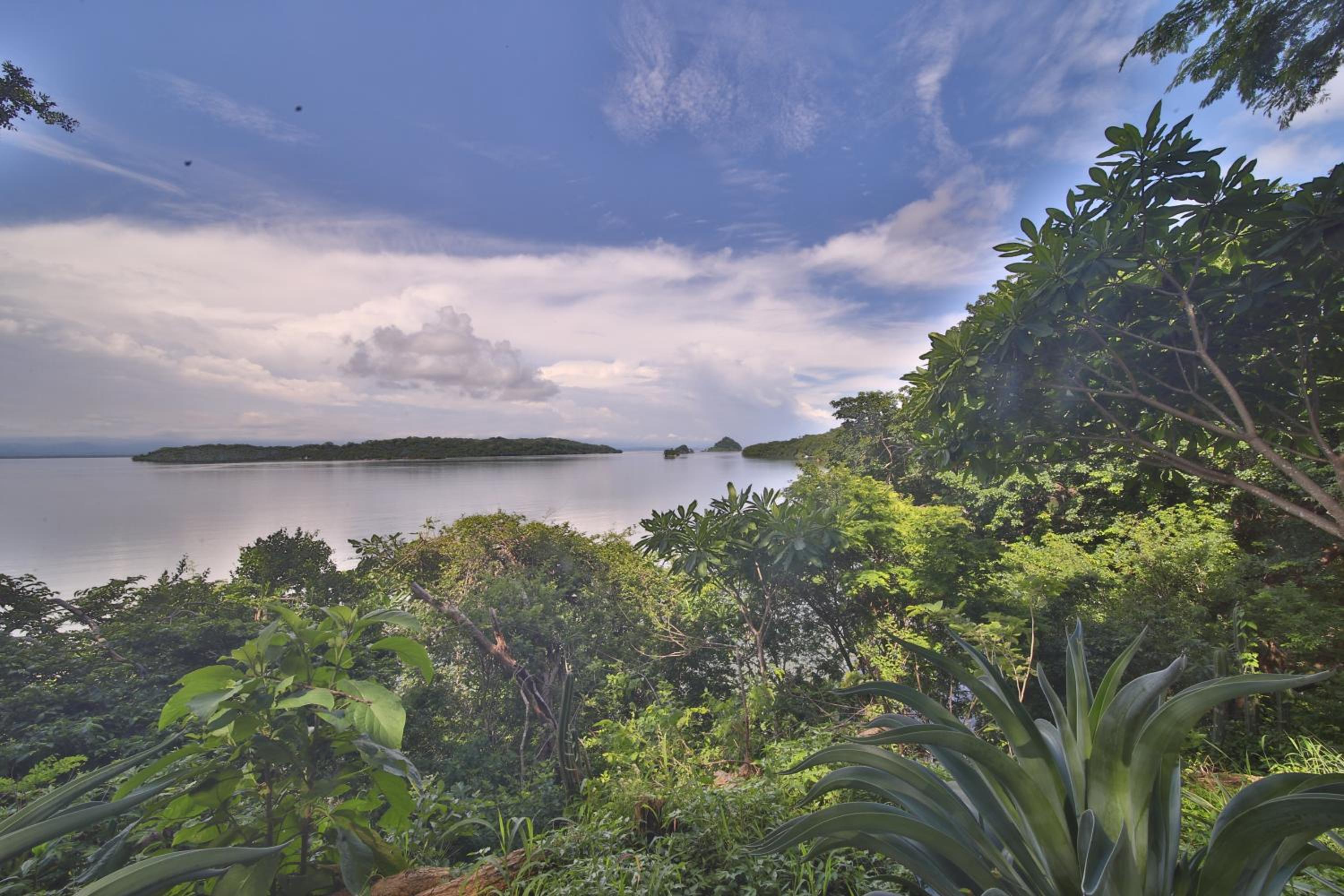 Superior Bungalow photo 2