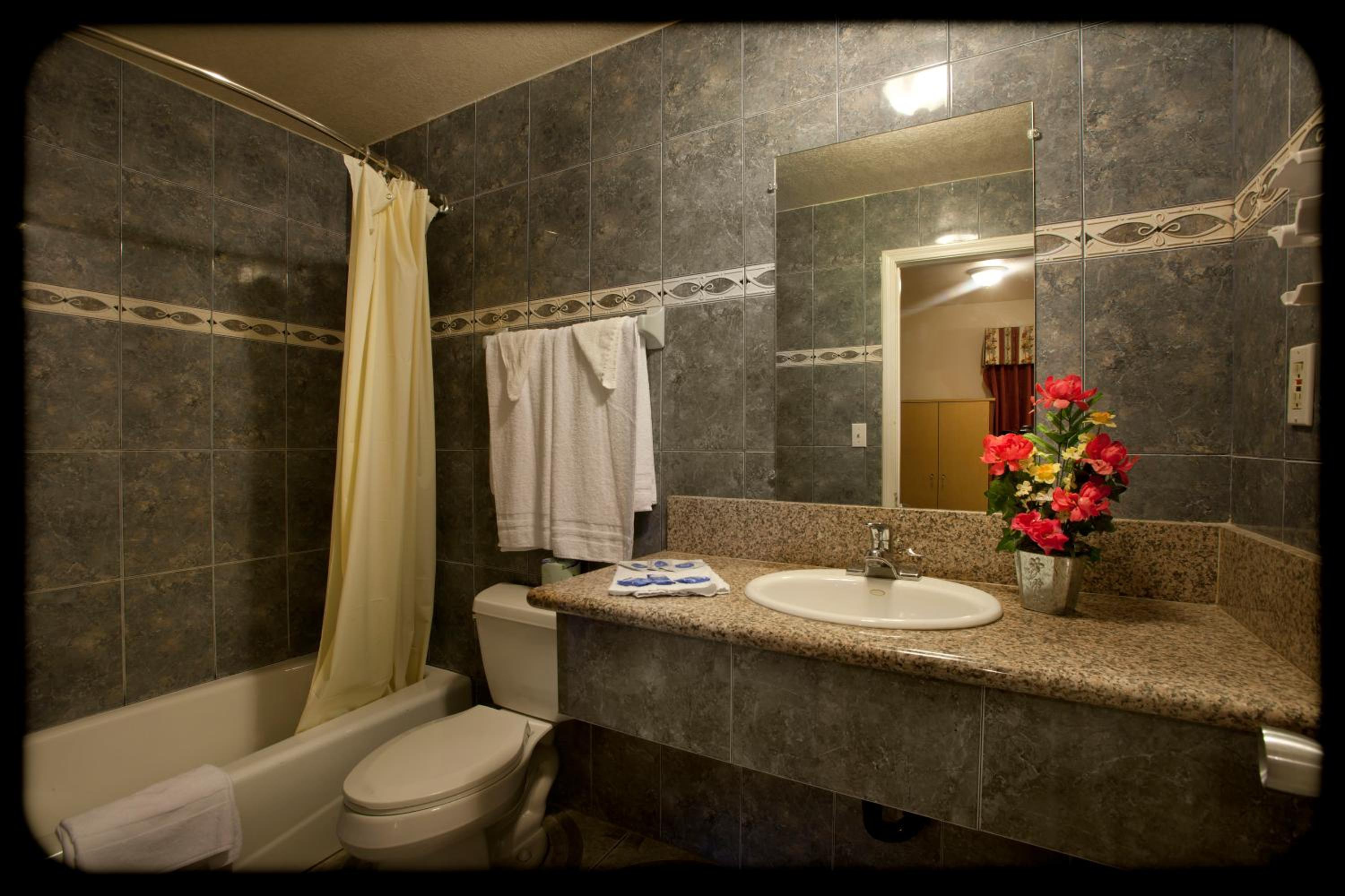 Deluxe King Room - Photo 7
