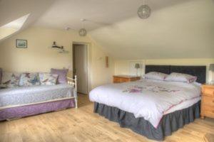 Deluxe Double or Twin Room with Mountain View