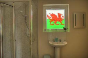 Deluxe Double or Twin Room with Mountain View photo 3