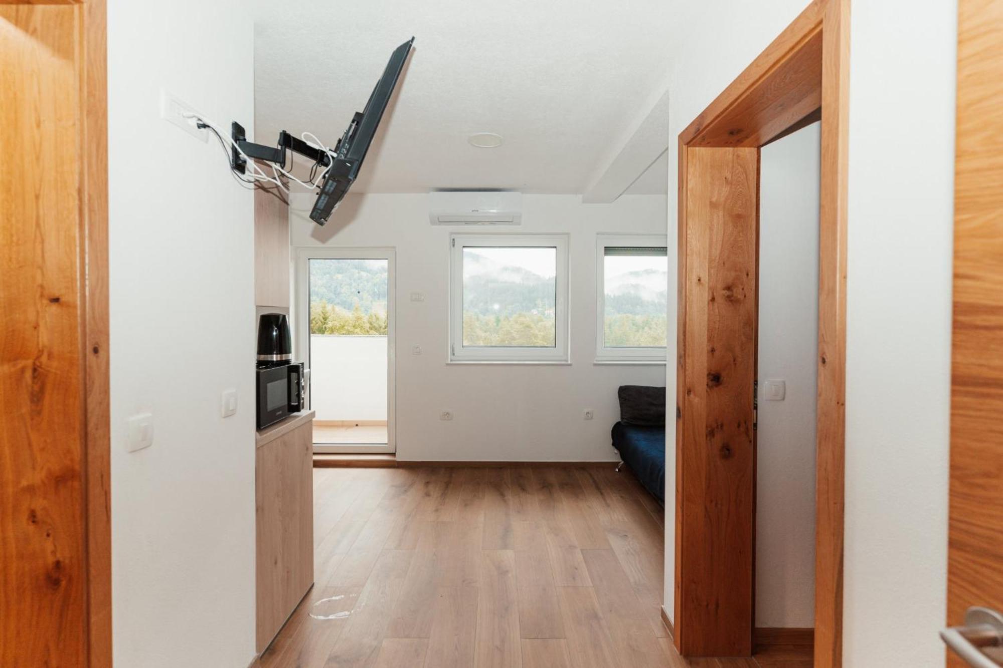 One-Bedroom Apartment with Park View