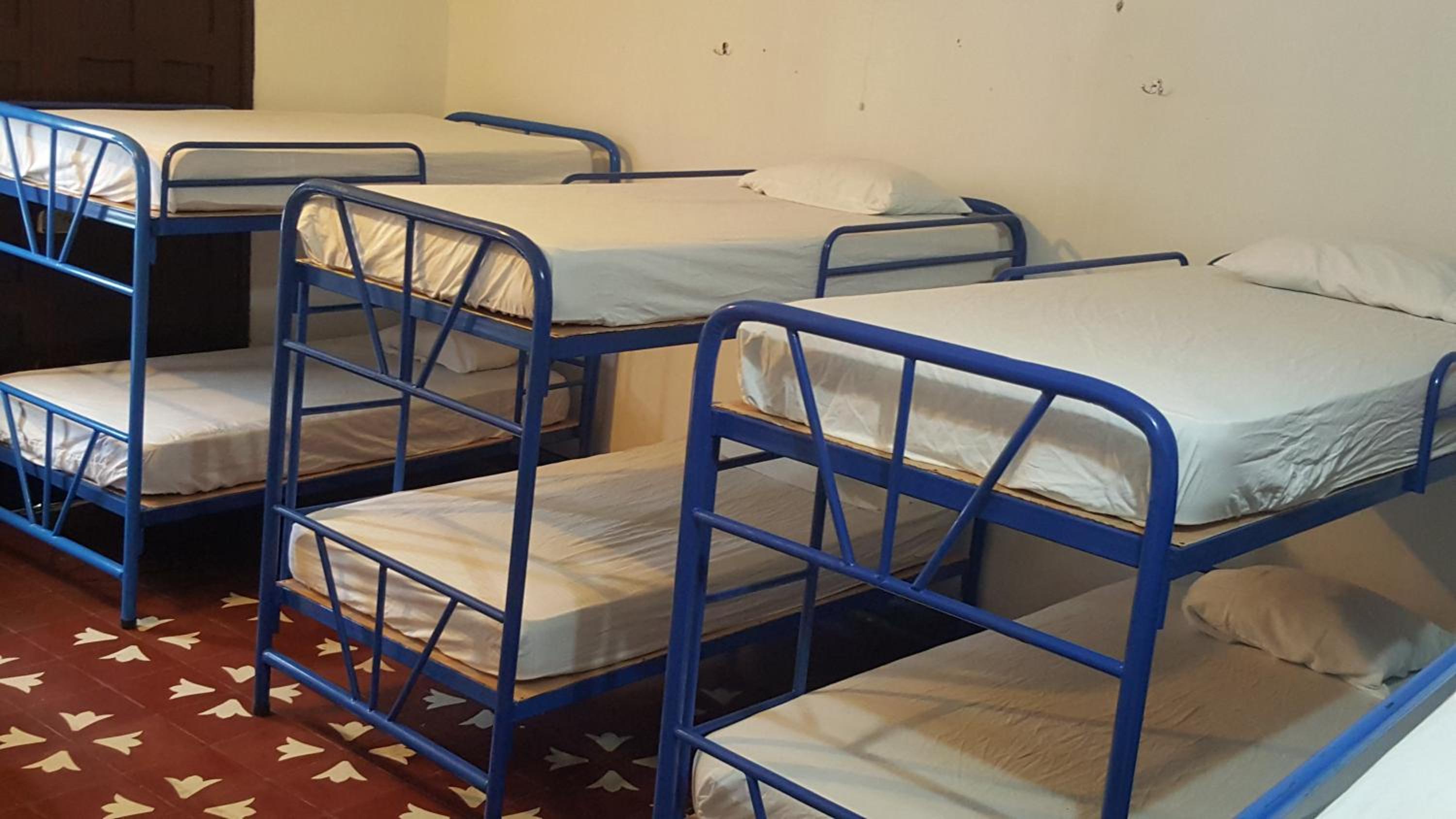 Bunk Bed in Mixed Dormitory Room photo 2
