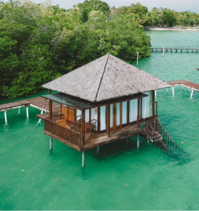 Villa with Sea View photo 1