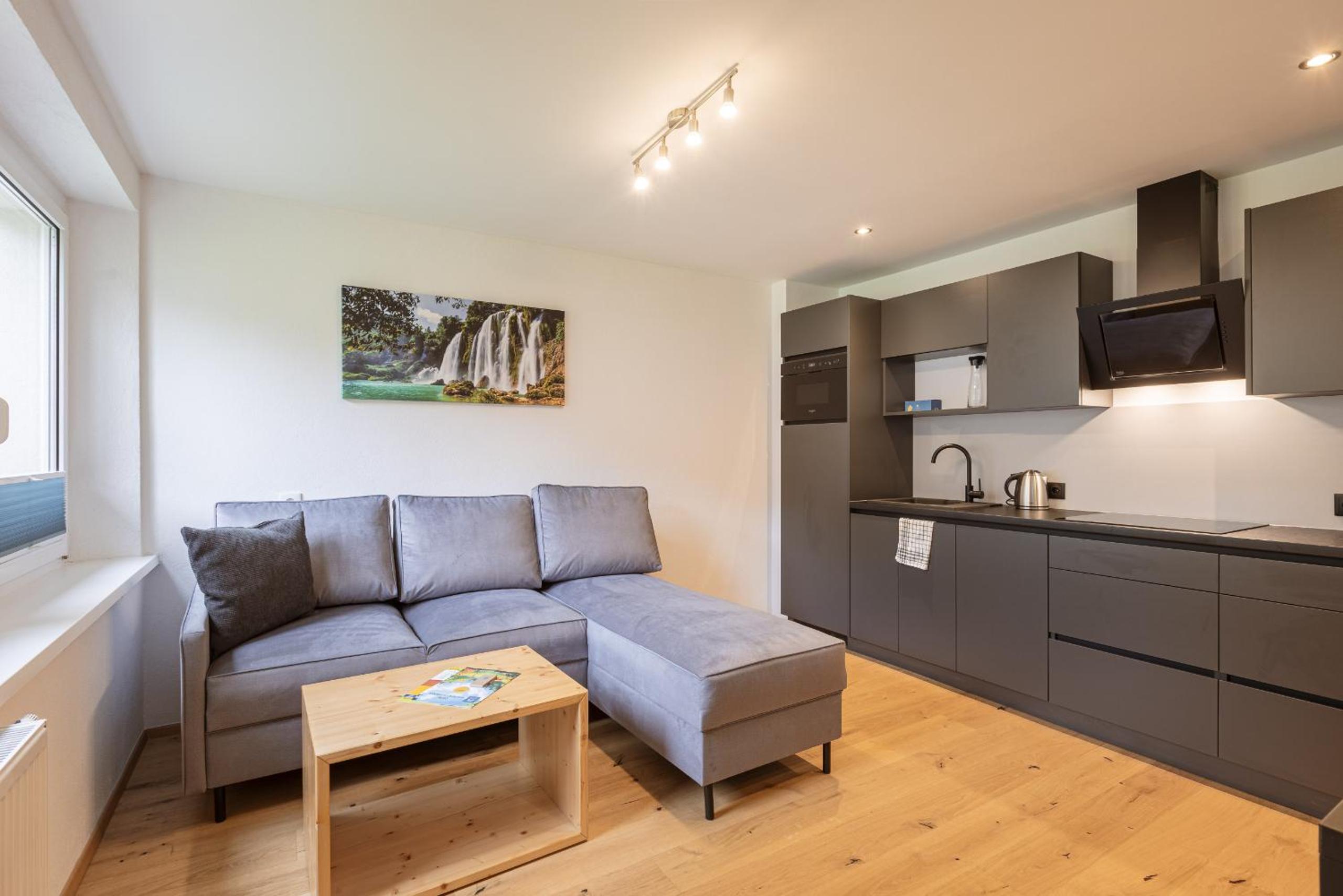 Deluxe Apartment
