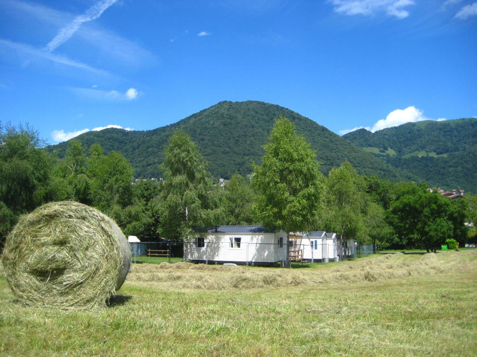 Mobile Home A - Photo 12