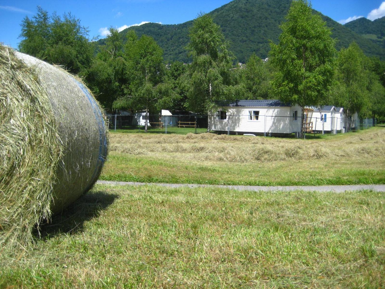 Mobile Home A - Photo 11