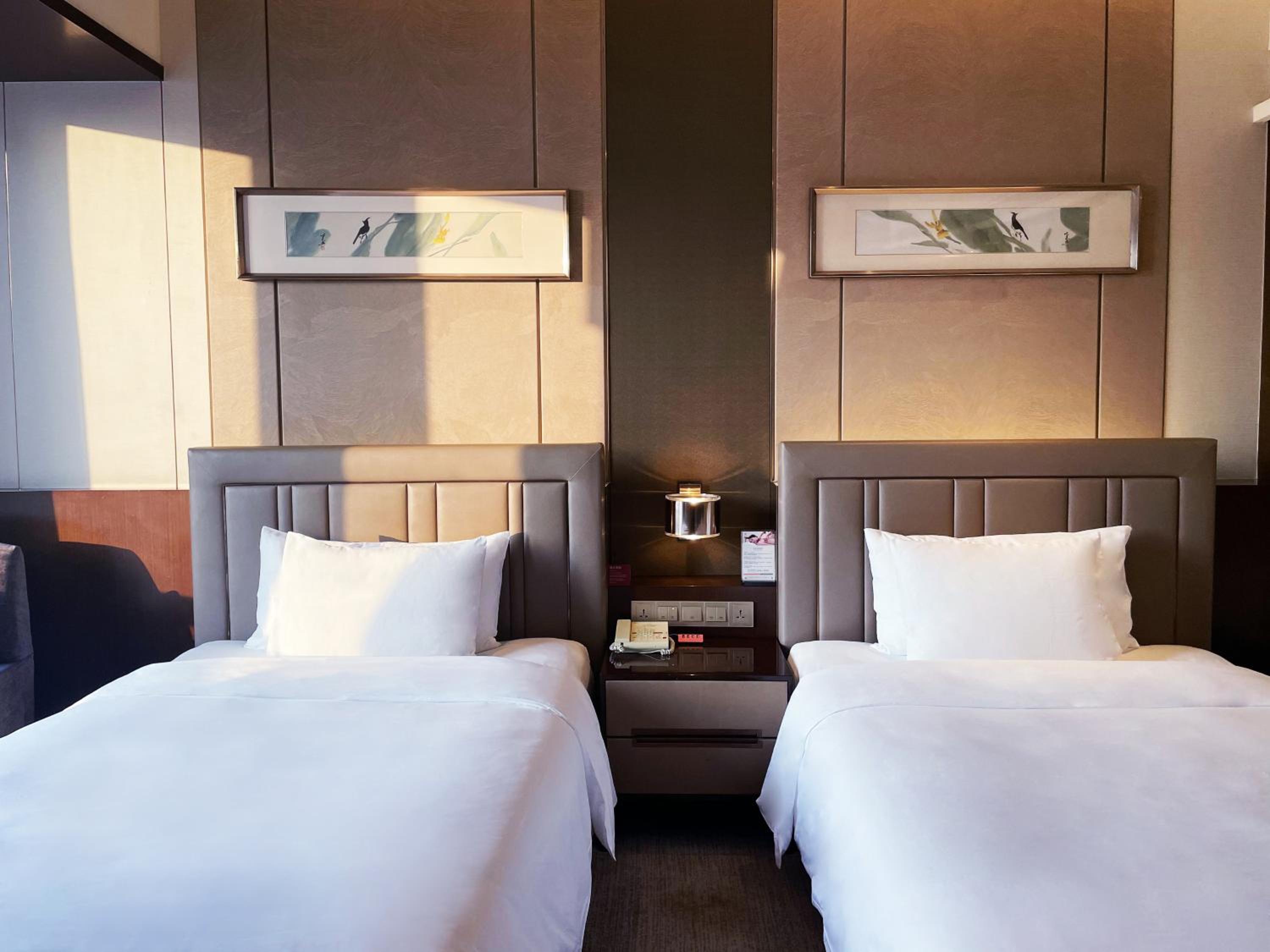 Standard Double Room with Two Double Beds and City View photo 3