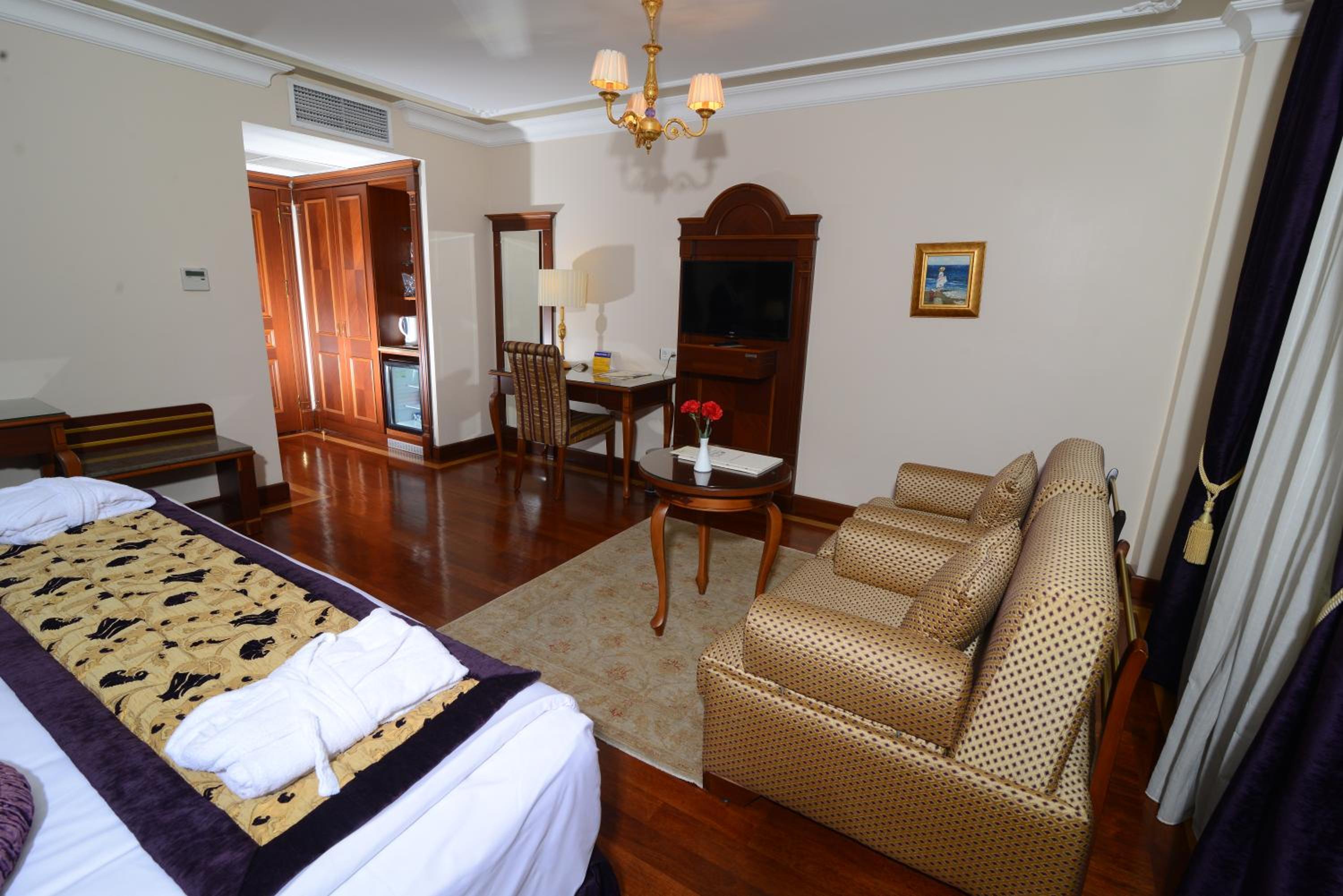 Deluxe Queen Suite photo 2