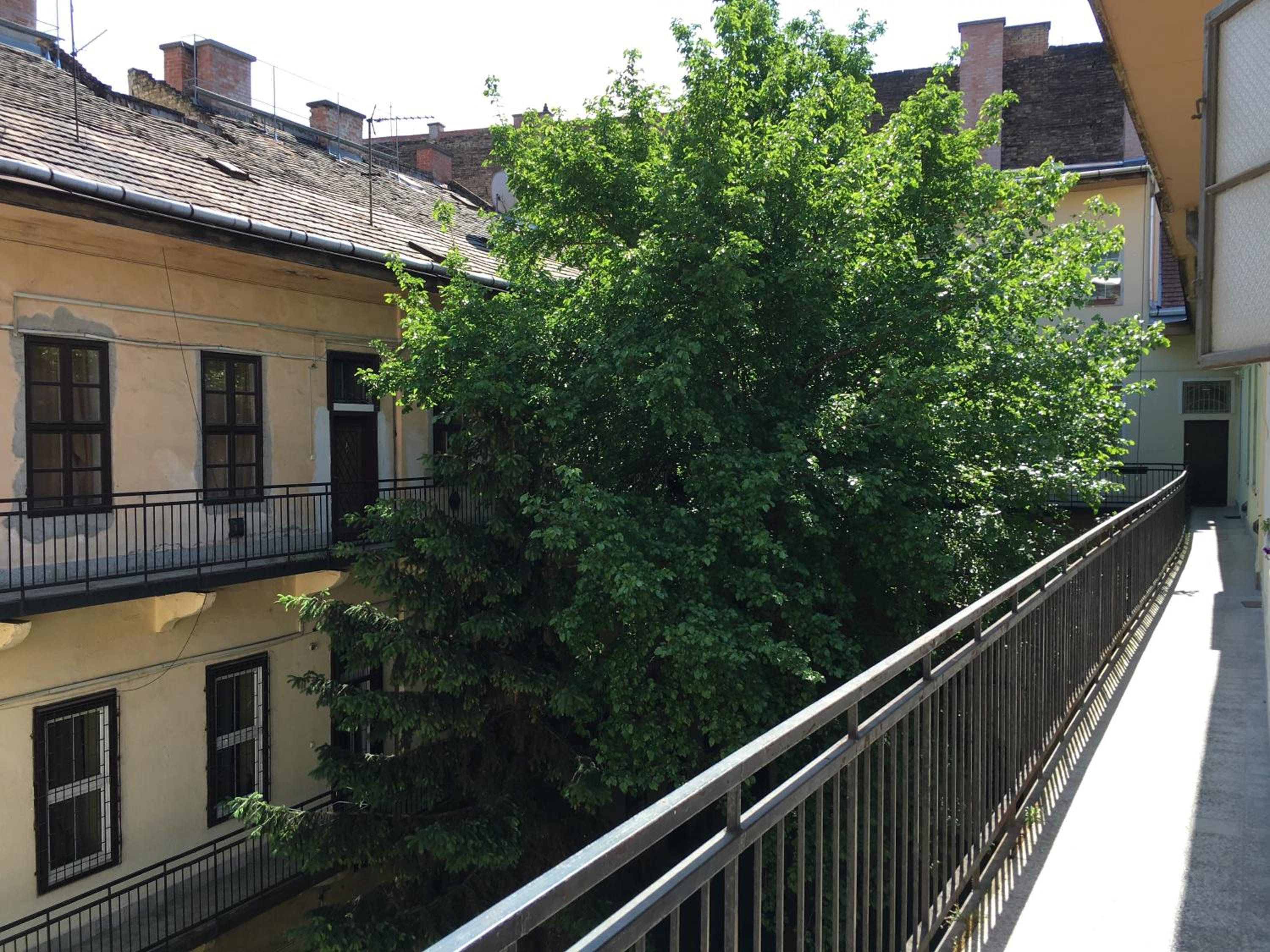 Apartment - Photo 11