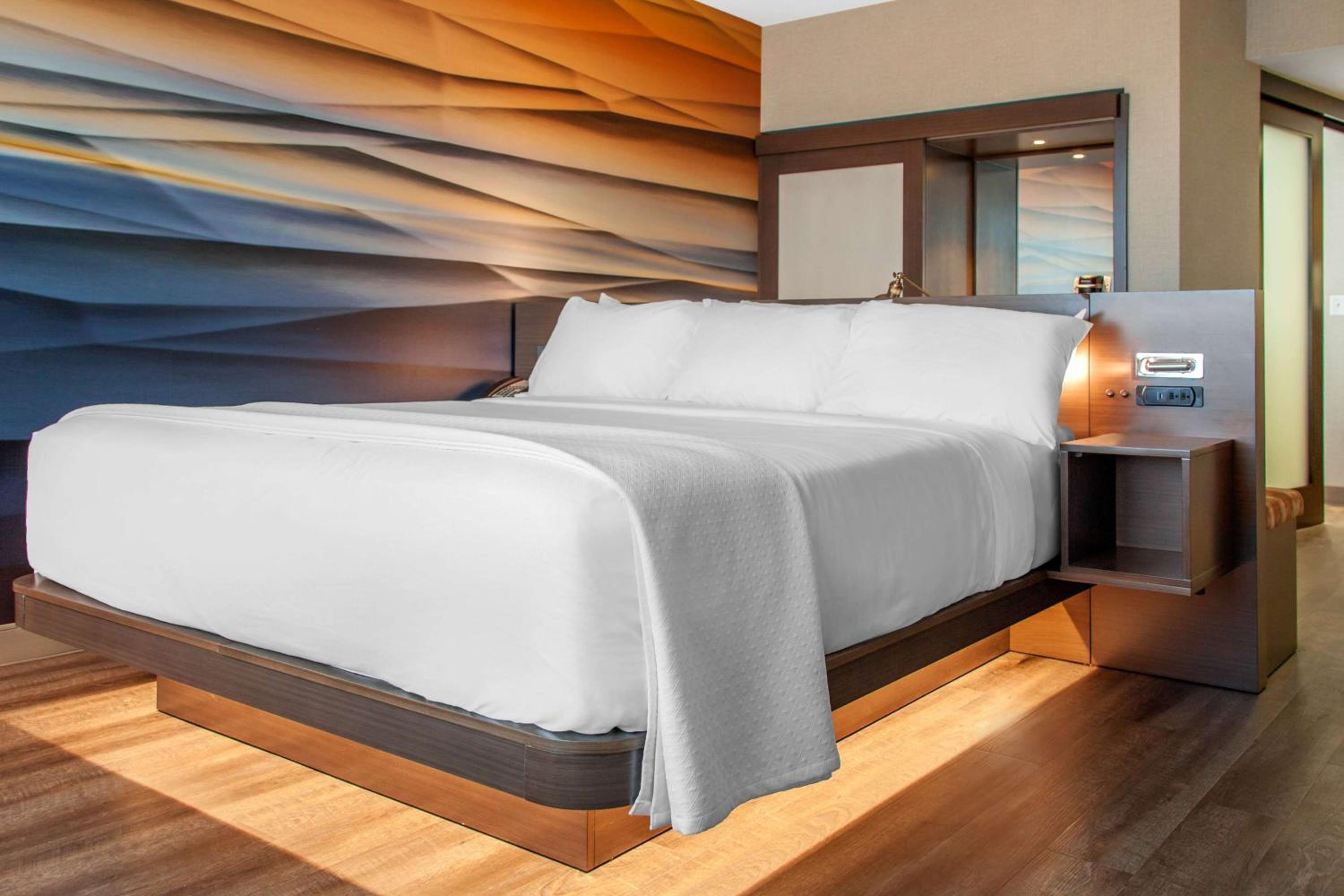King Room with Roll-In Shower - Mobility Access