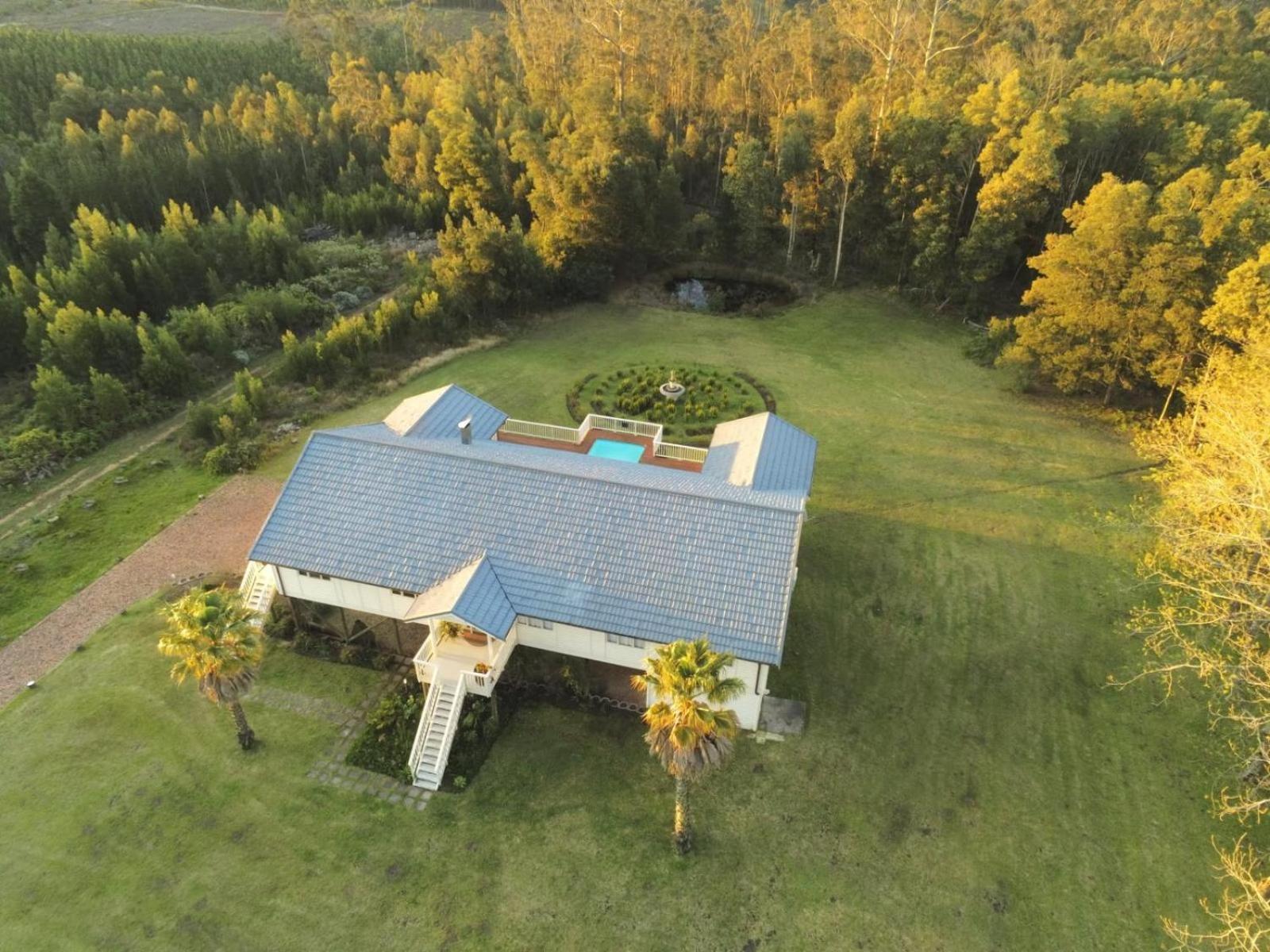 Five-Bedroom House photo 3
