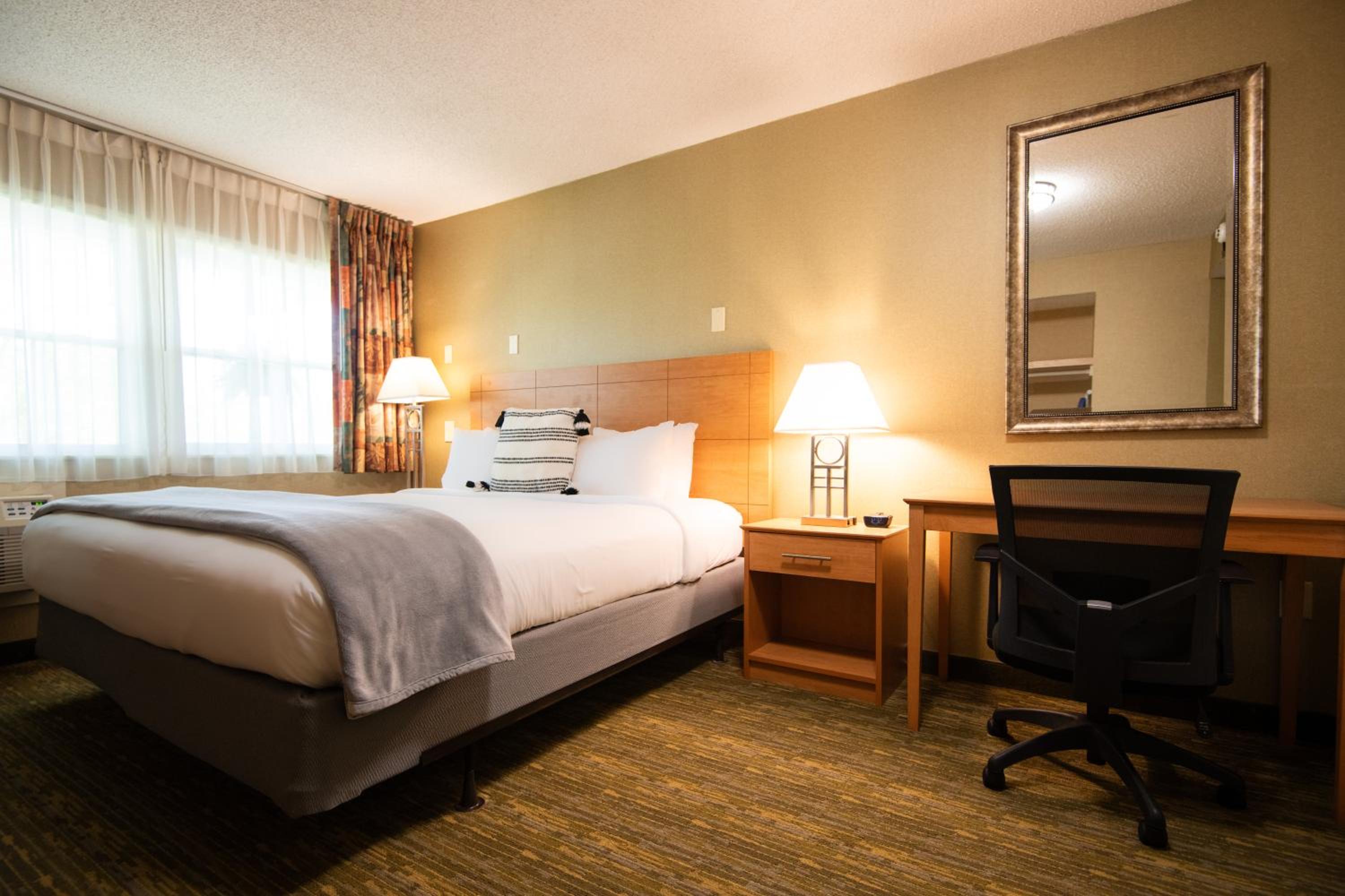 Standard King Room photo 3