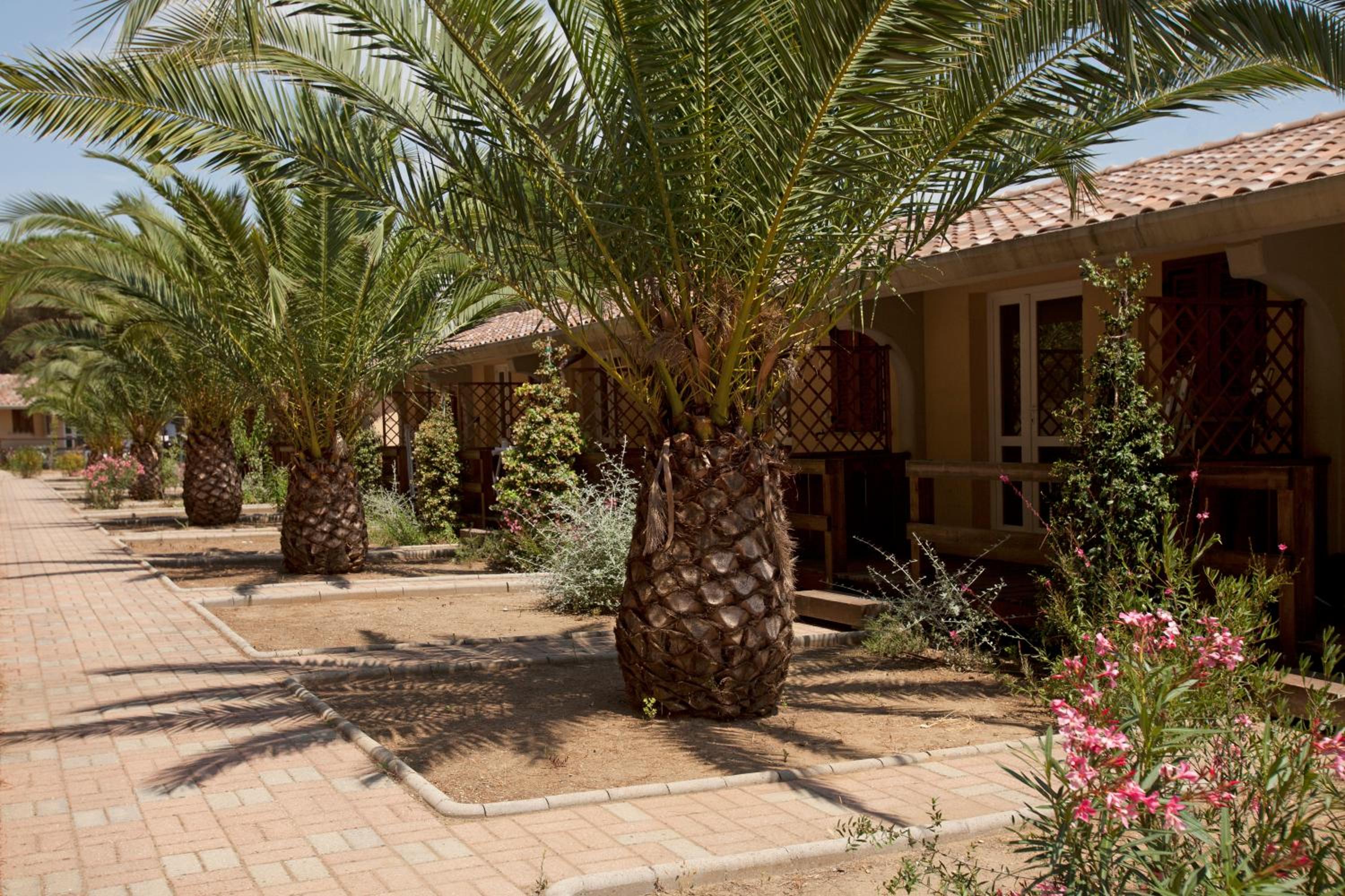 Family Bungalow photo 2