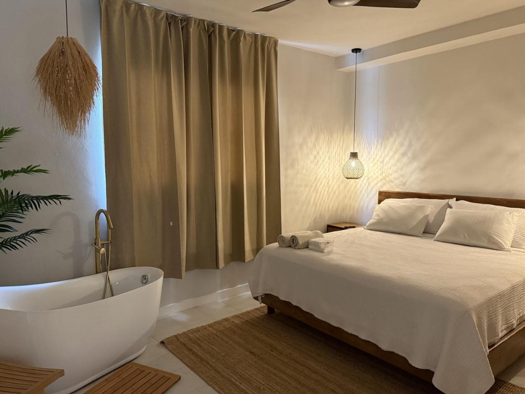 Deluxe King Suite