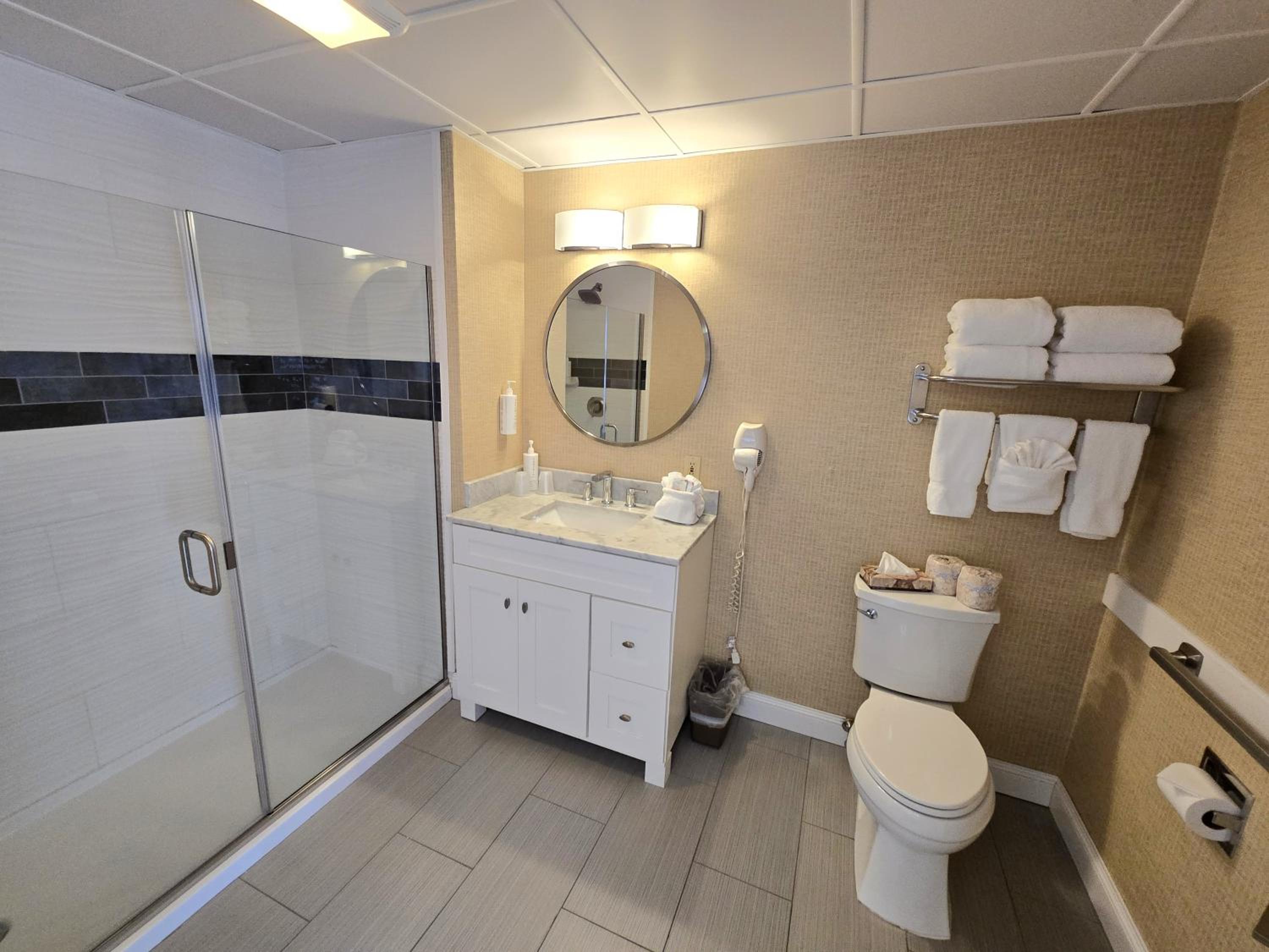 Deluxe King Suite photo 2