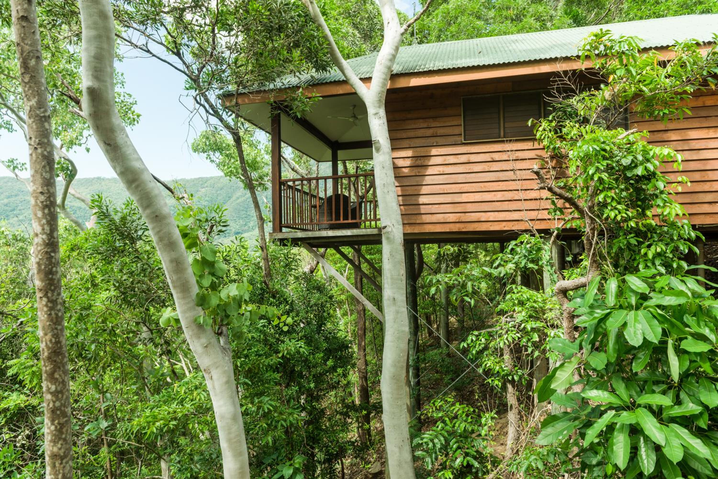 Coral Sea Bungalow photo 2