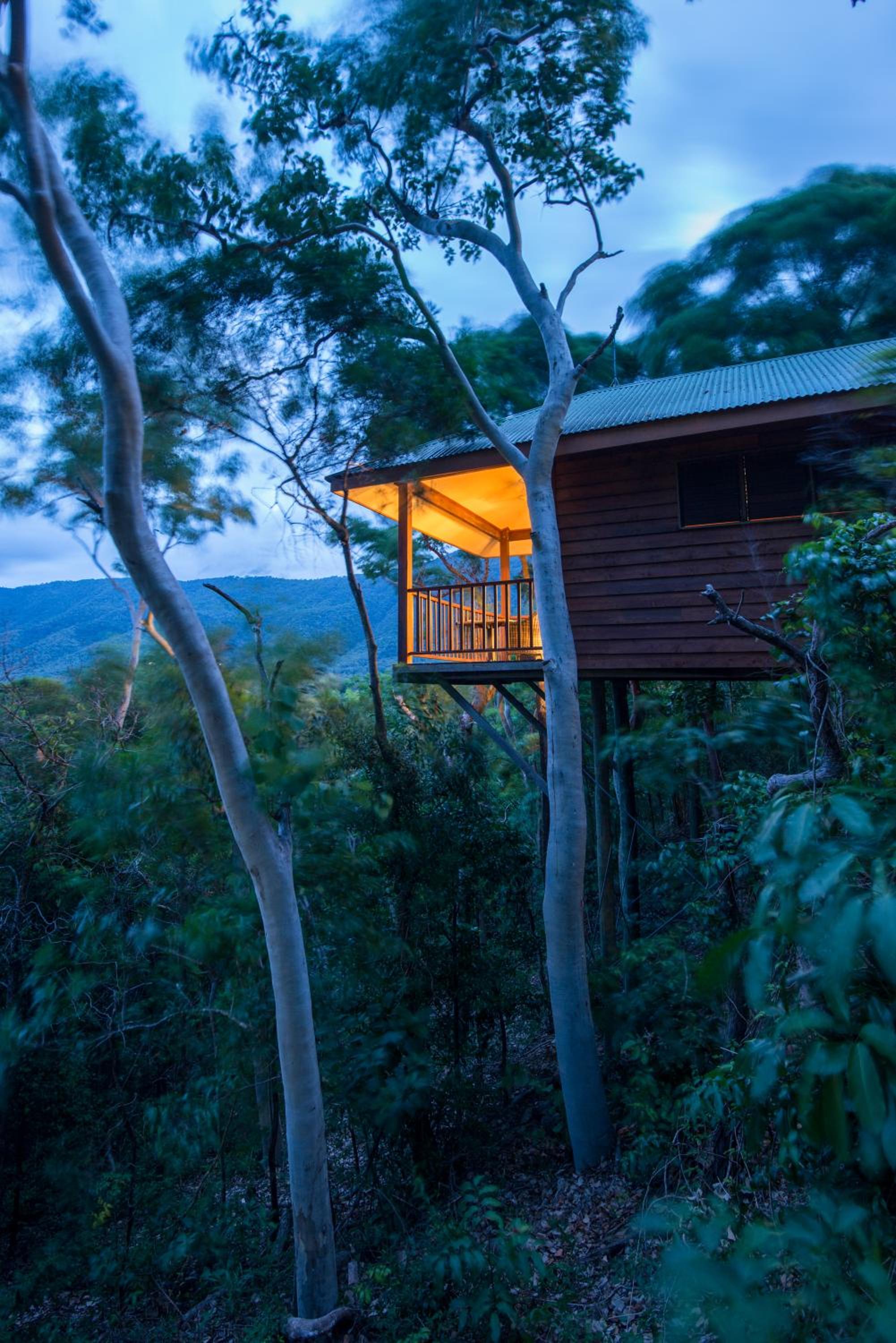 Coral Sea Bungalow photo 3