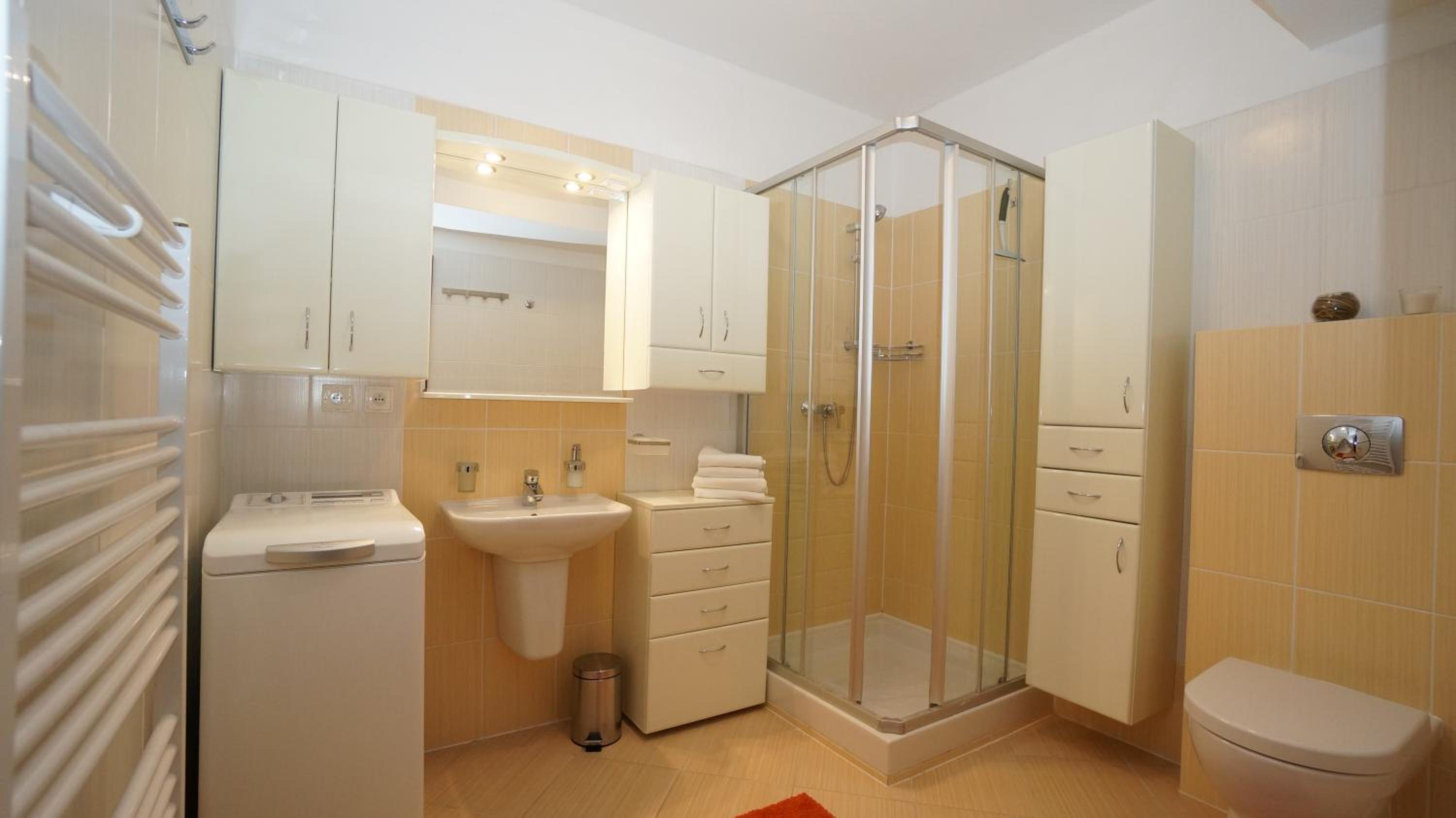 One-Bedroom Apartment photo 3
