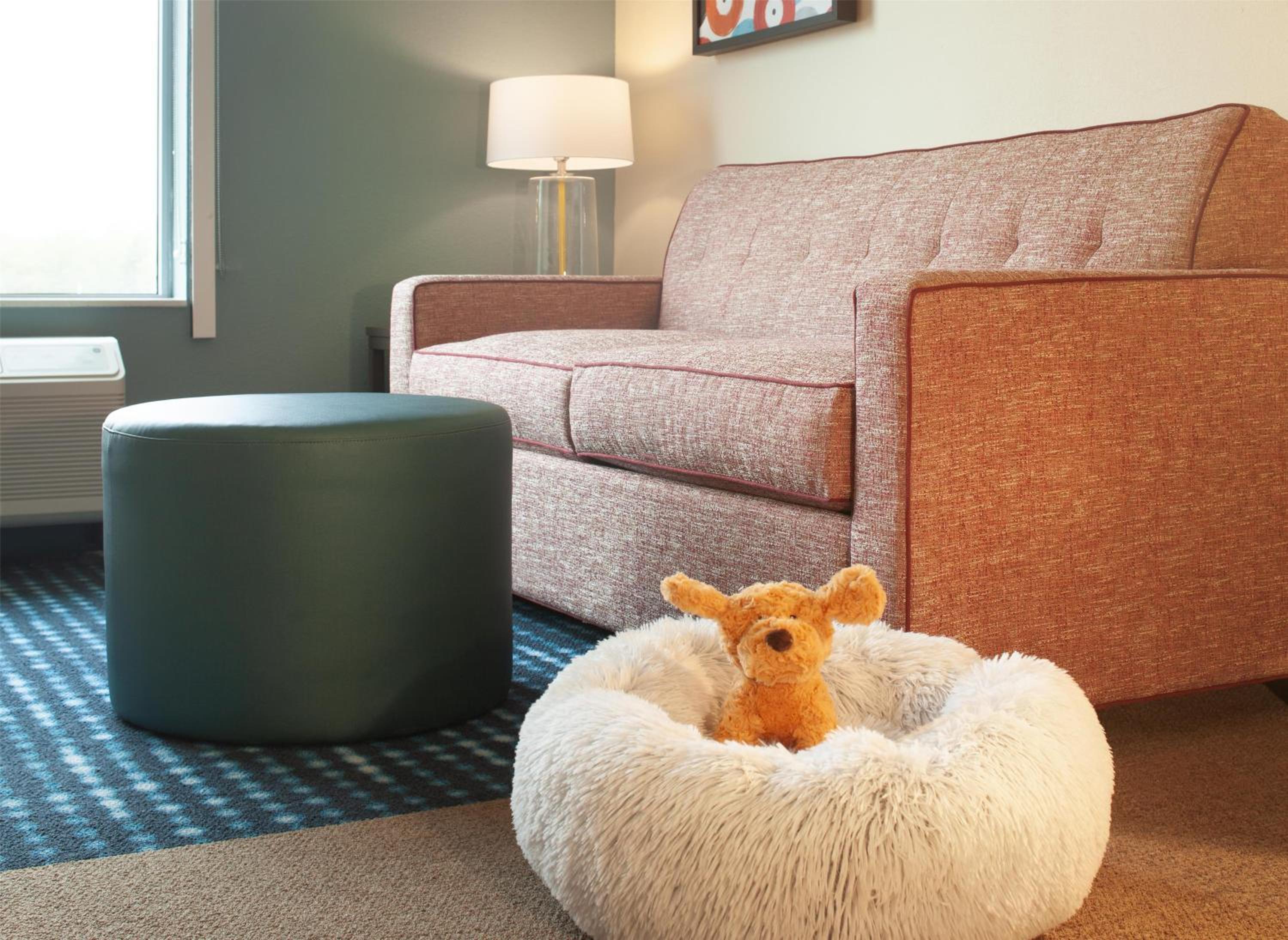 King Studio Suite - Photo 9