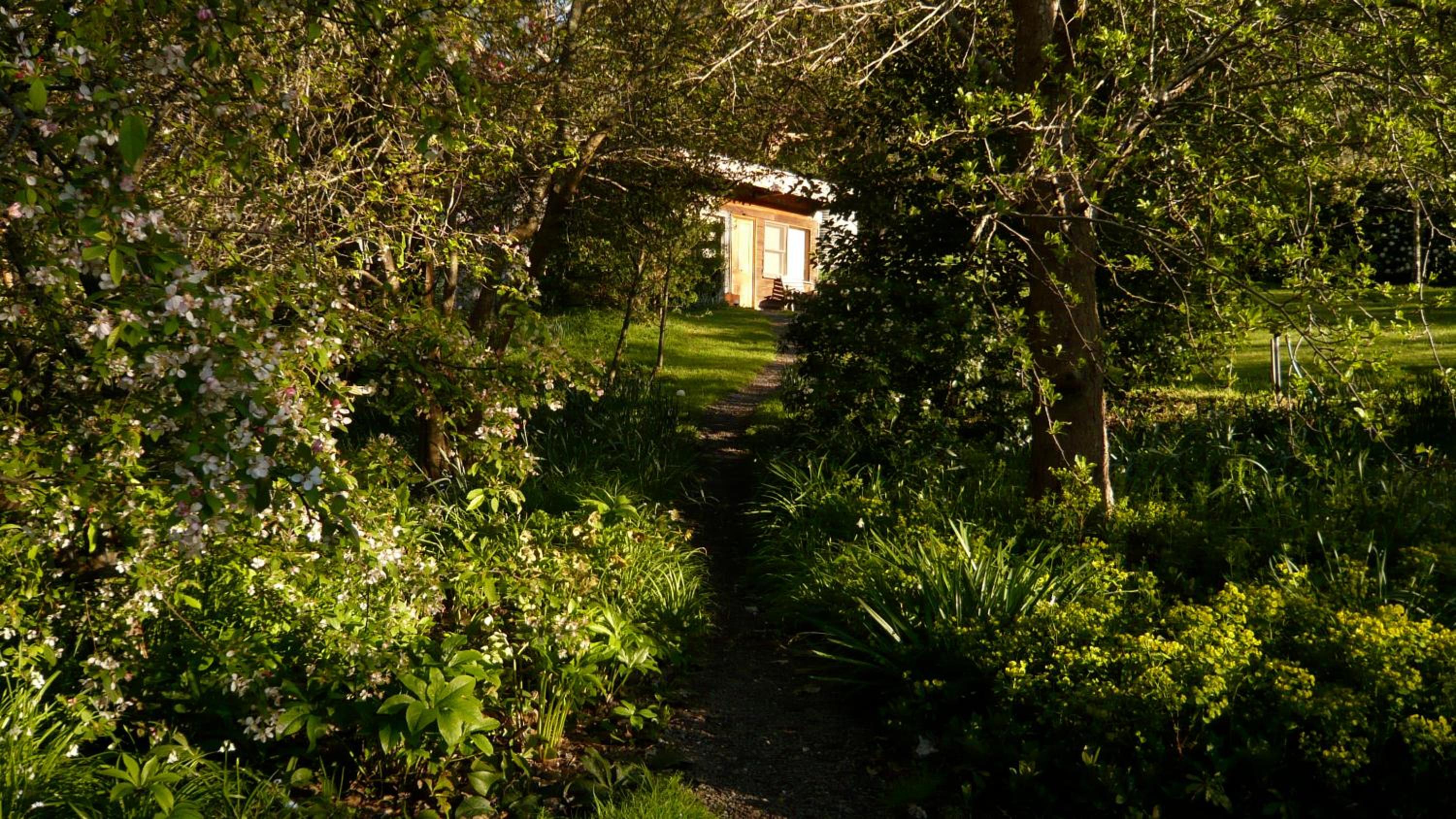 The Cabin photo 2