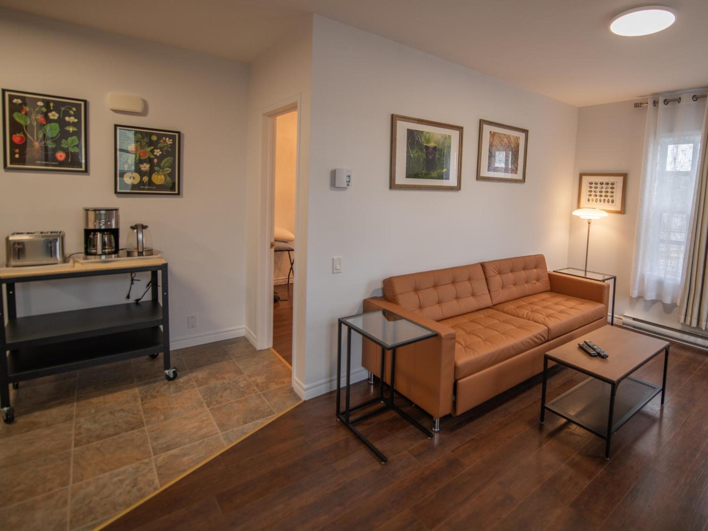 One-Bedroom Standard Apartment photo 3