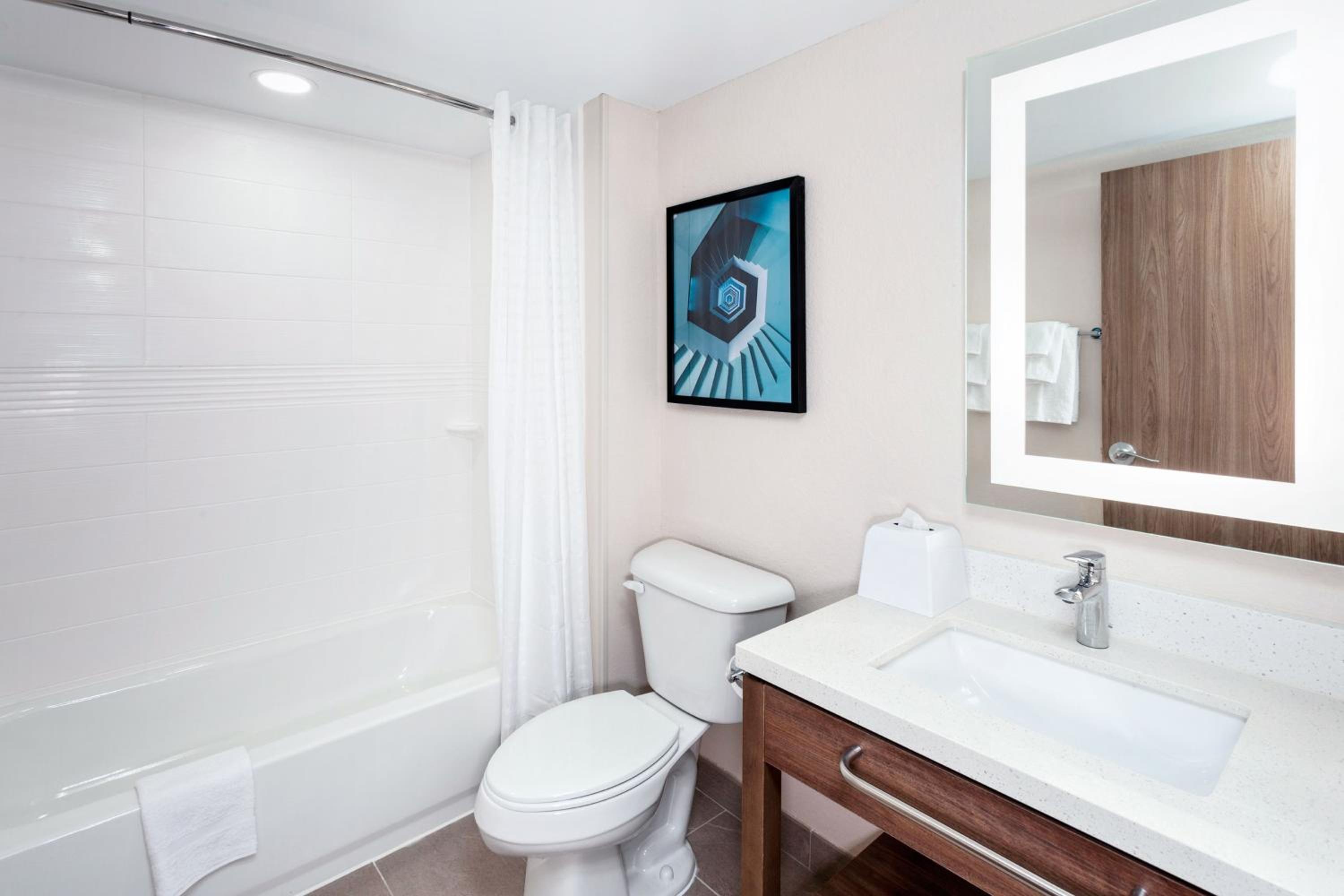 Studio Suite with Two Queen Beds - Photo 4