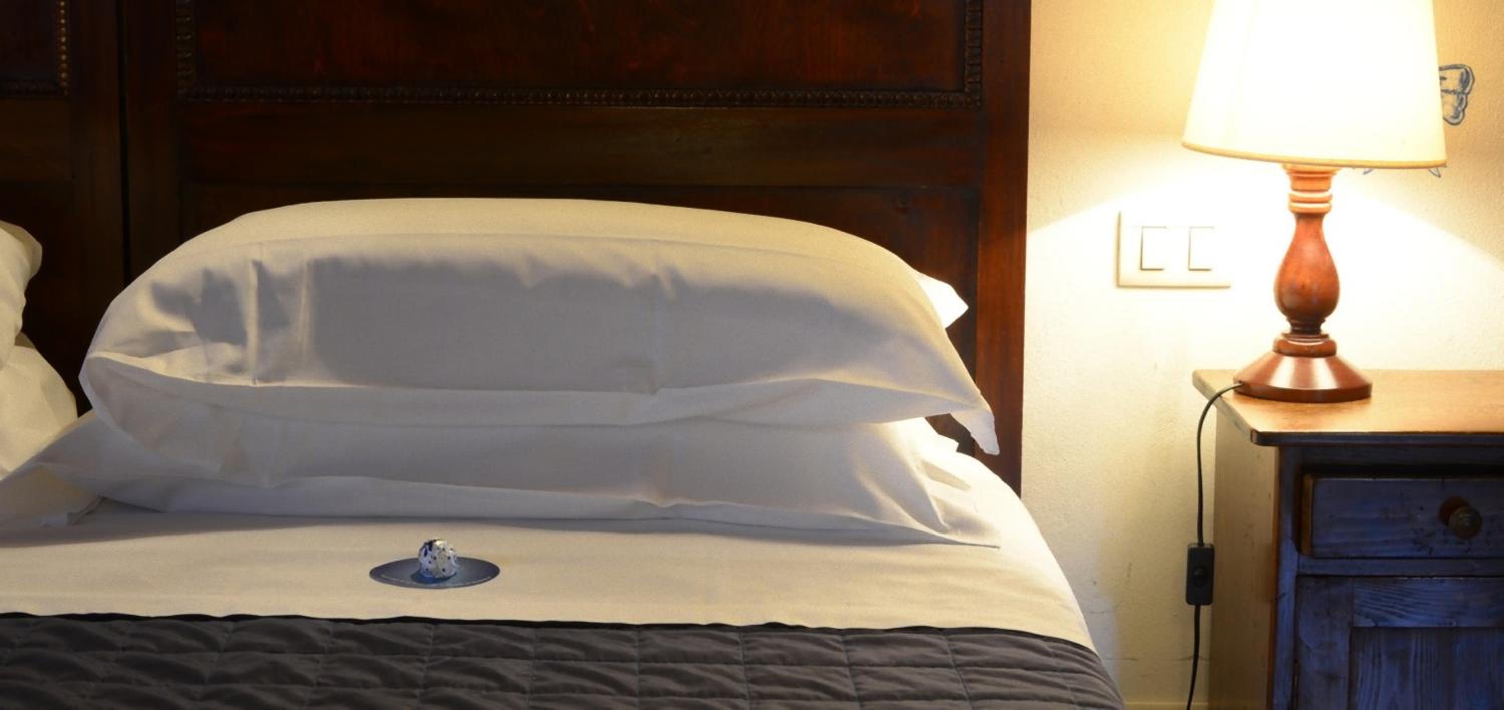 Double or Twin Room photo 2