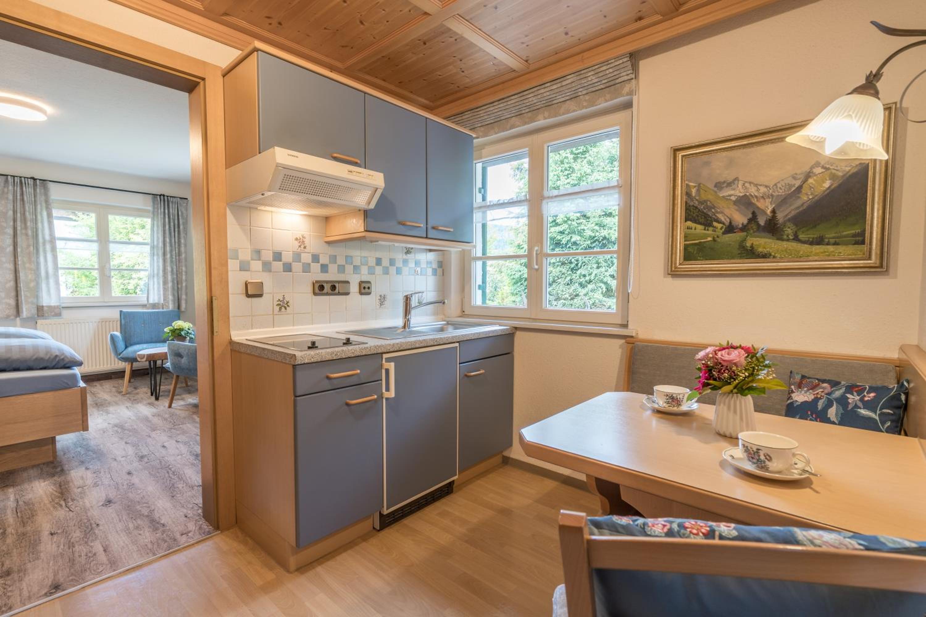 One-Bedroom Apartment with Balcony and Mountain View   photo 1