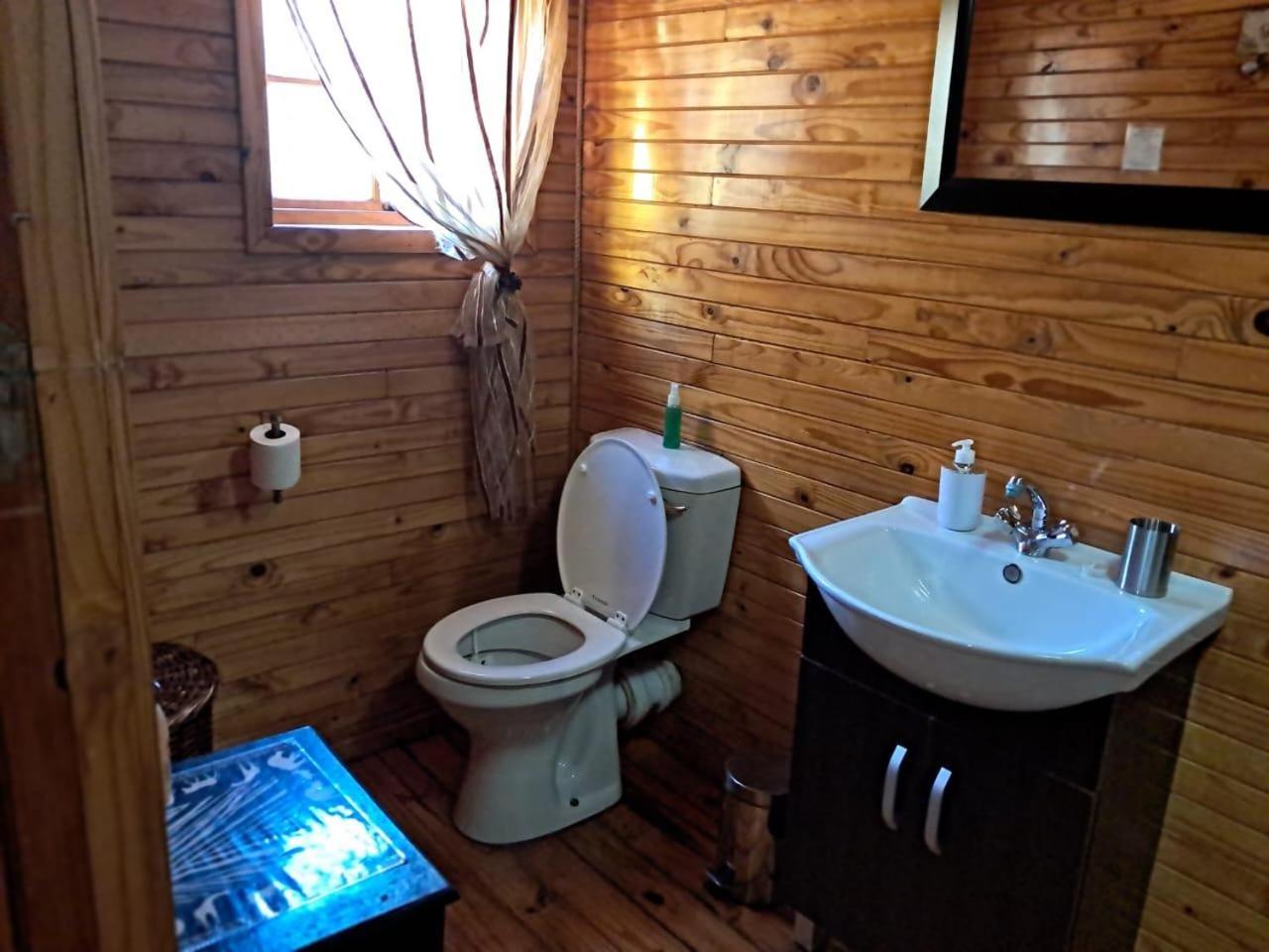 Standard Cabin photo 2