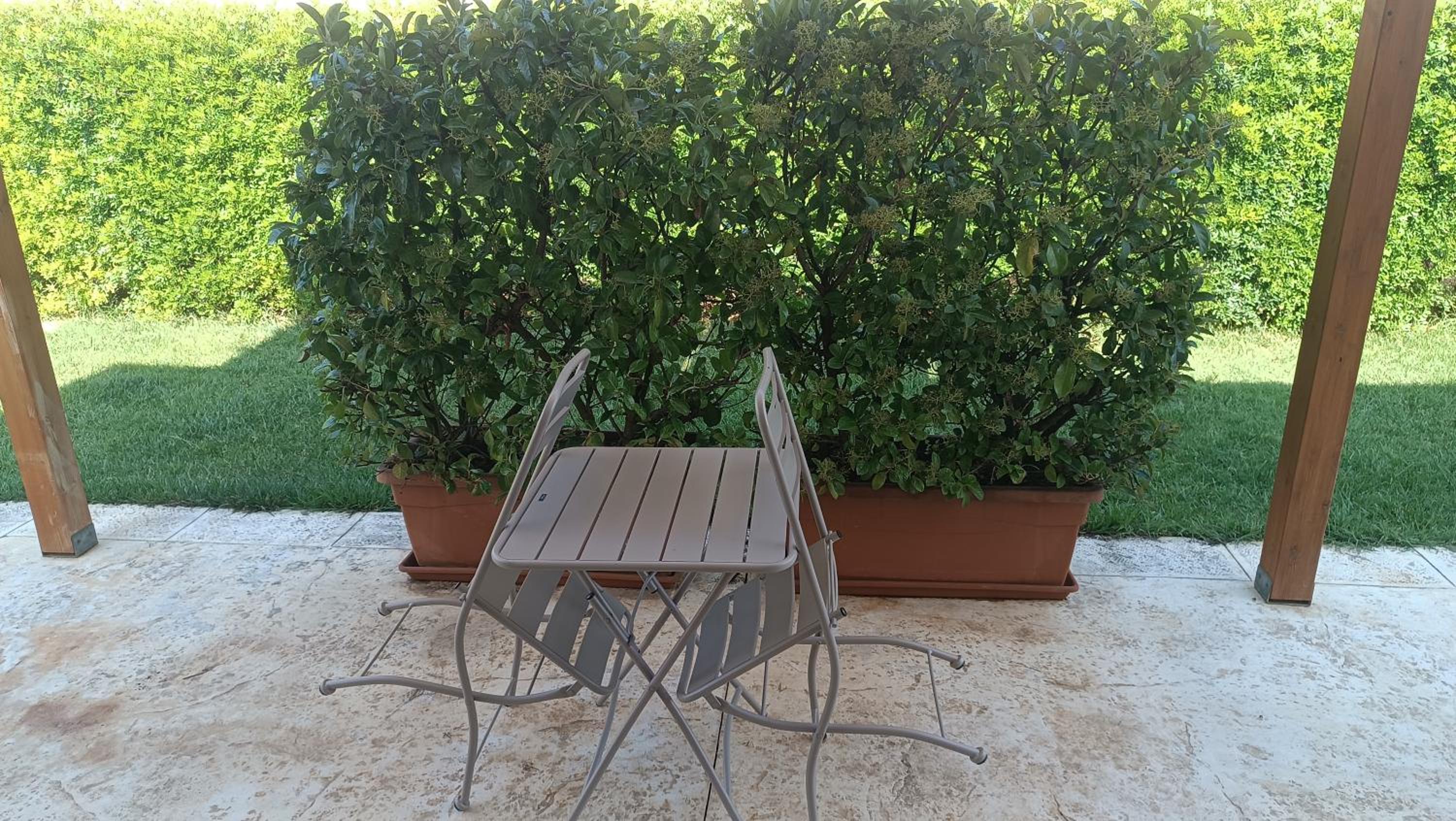 Double Room with Garden View photo 3