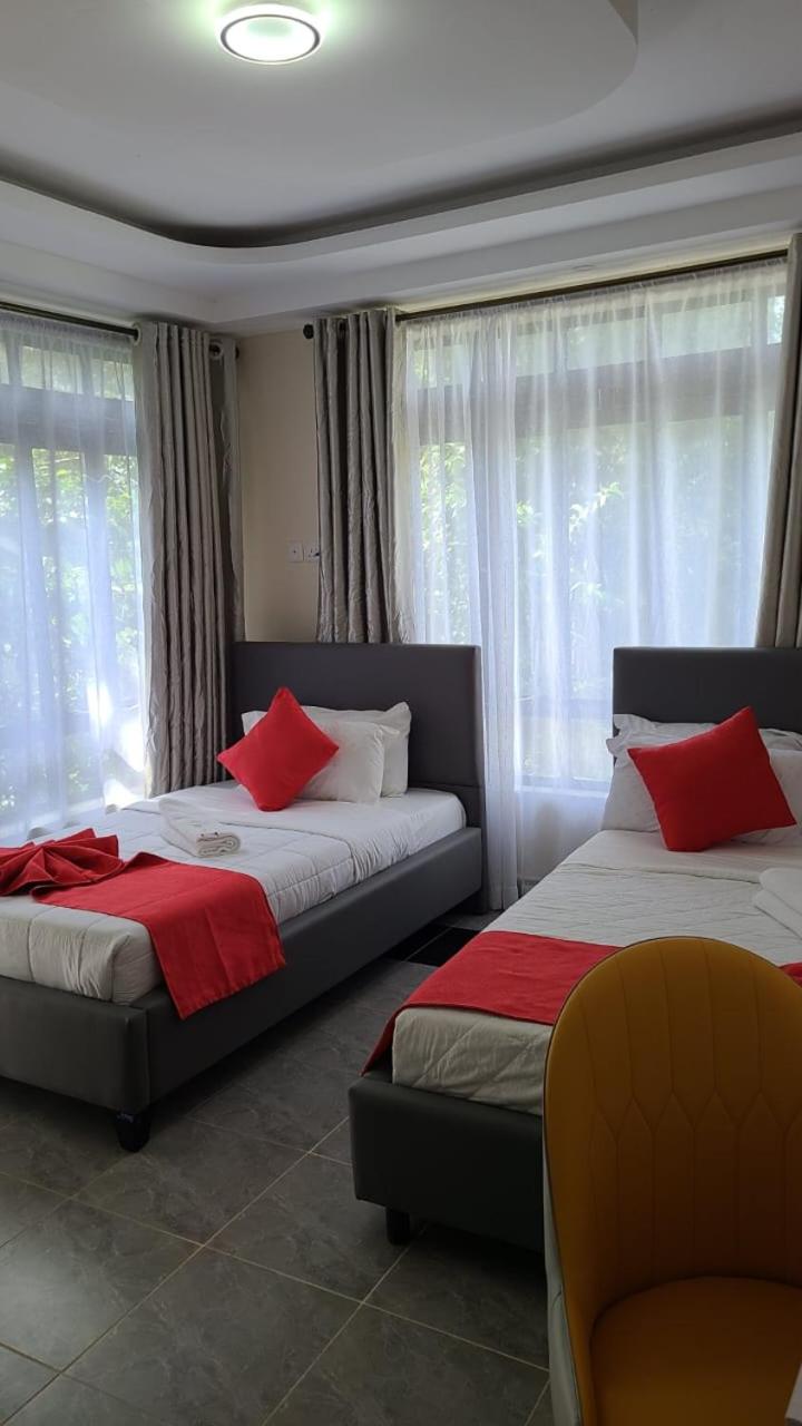 Double or Twin Room photo 3