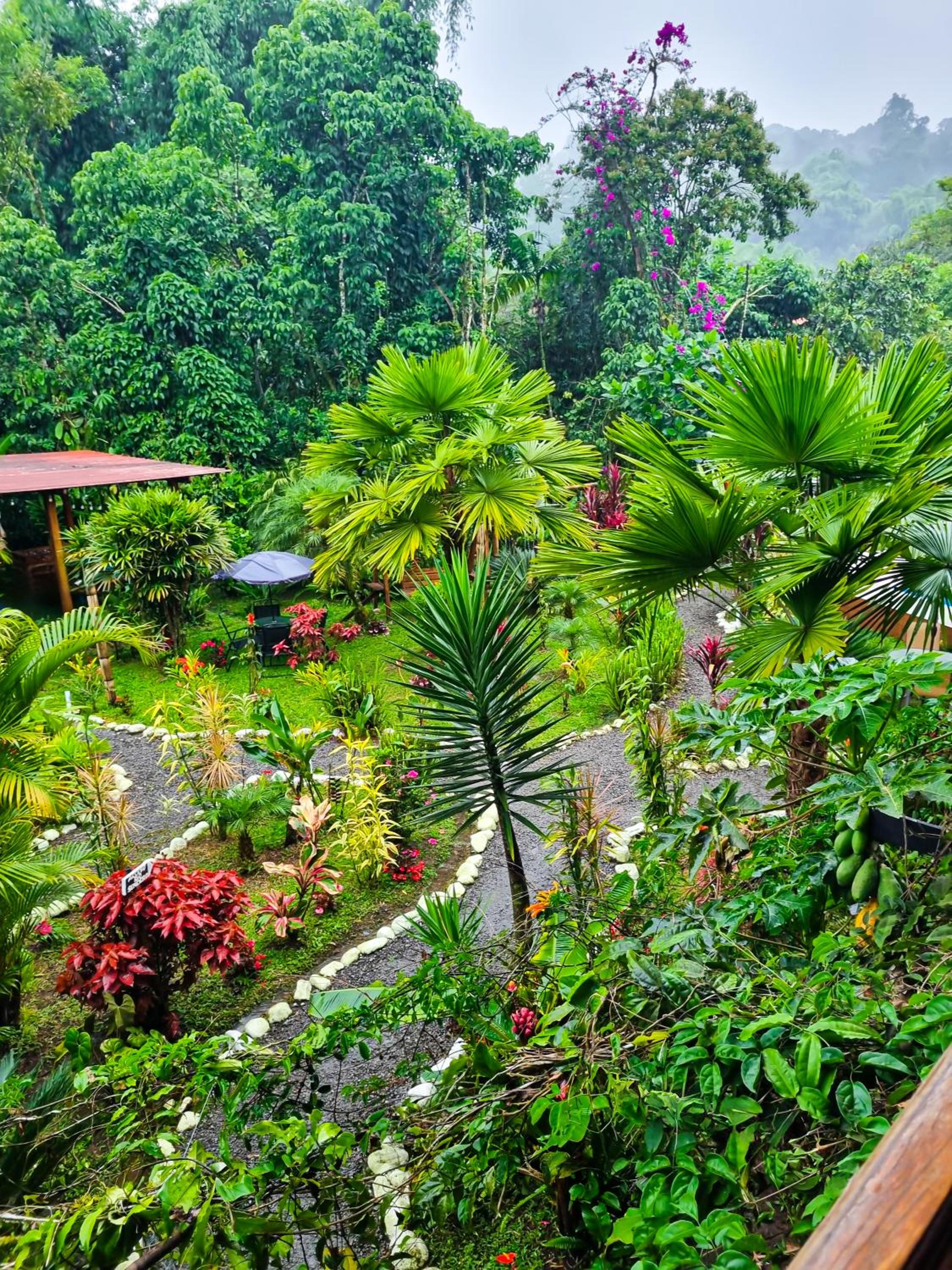 Queen Room with Garden View photo 1