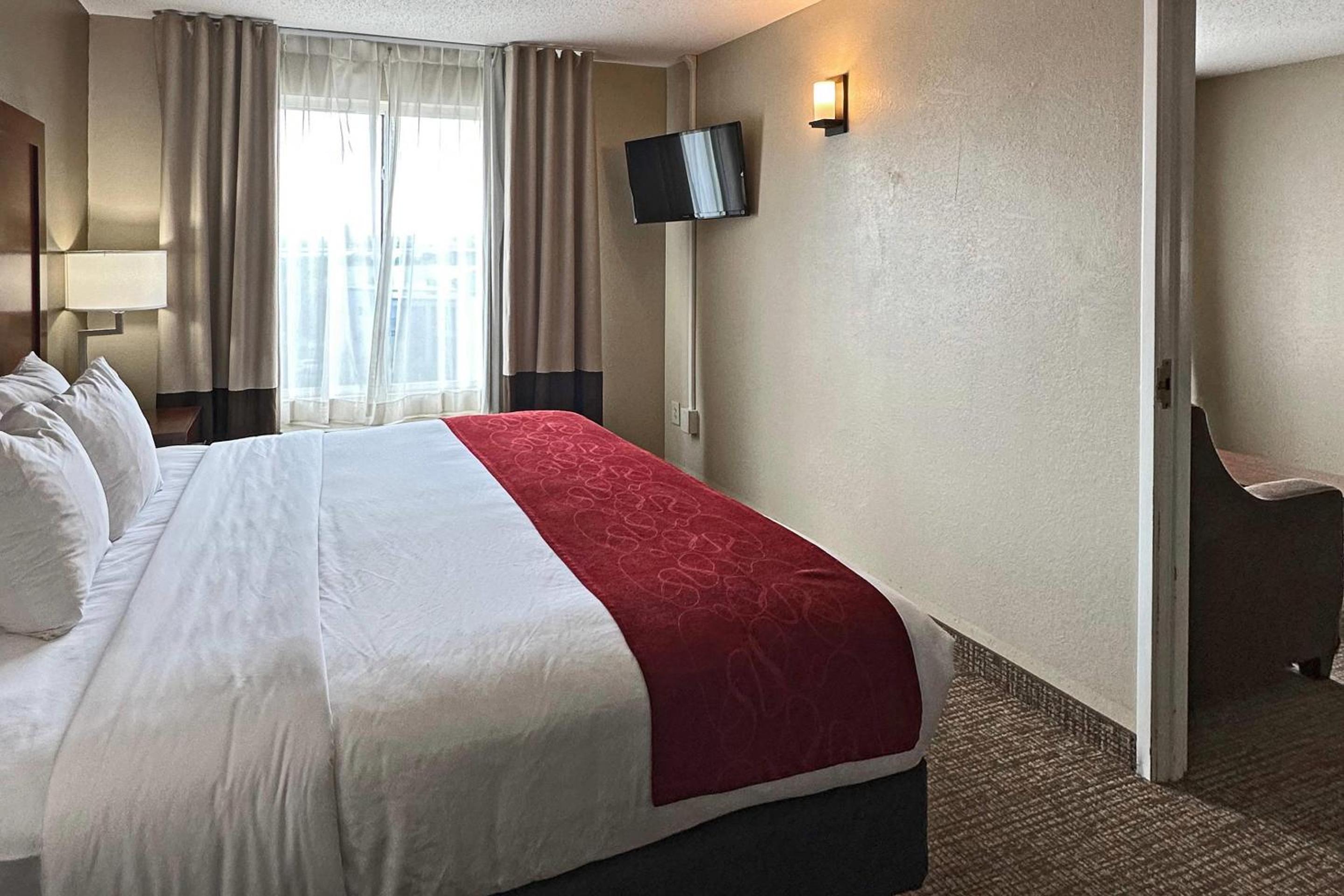One-Bedroom King Suite - Photo 3