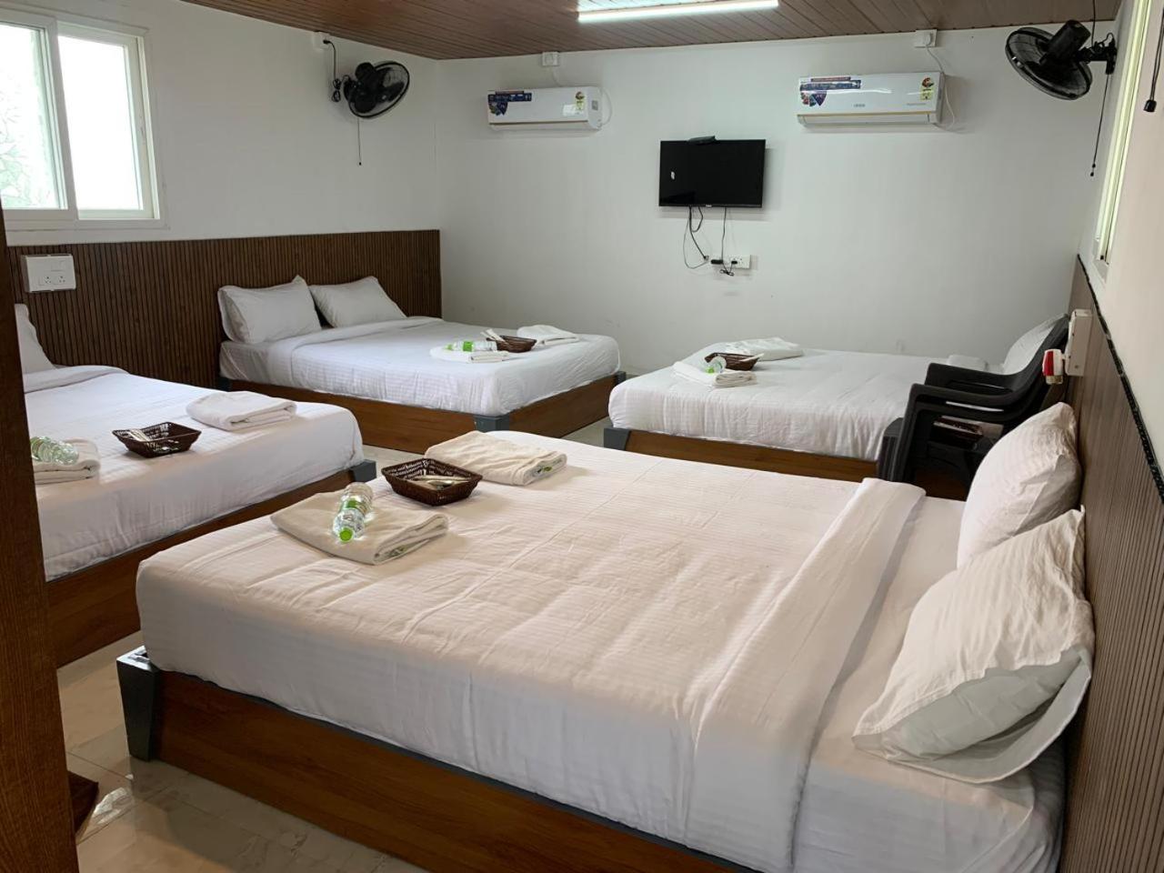 Mixed Dormitory Room photo 3