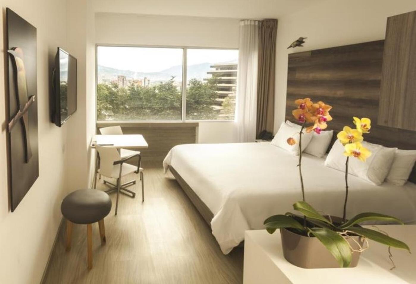 1 Queen Bed, Standard Room